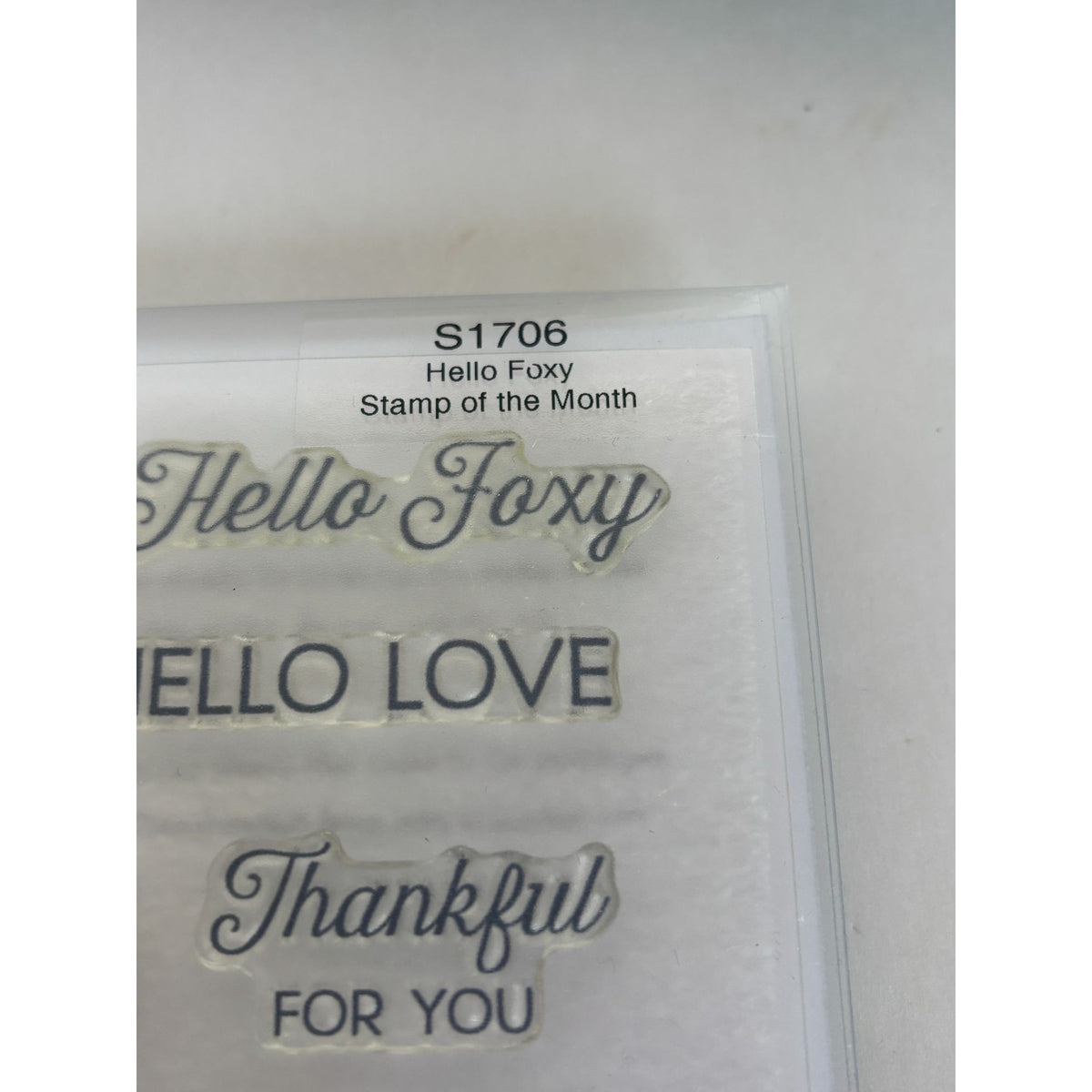 CTMH Acrylic Stamps Set Hello Foxy Fox Flower Wreath Thankful for You My Acrylix