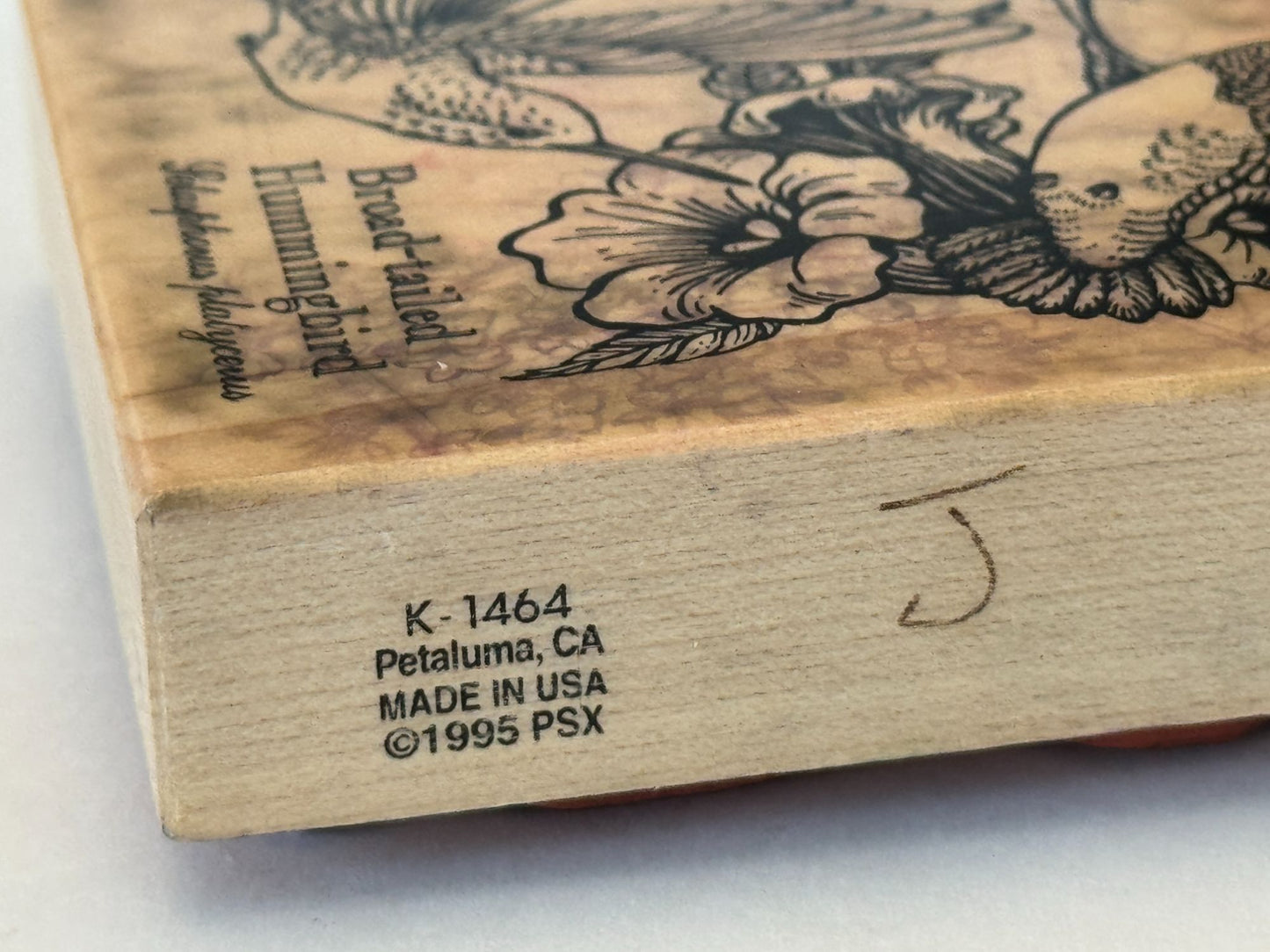 PSX Rubber Stamp Hummingbird Botanical Bird Broad-Tailed Spring Card Making Art
