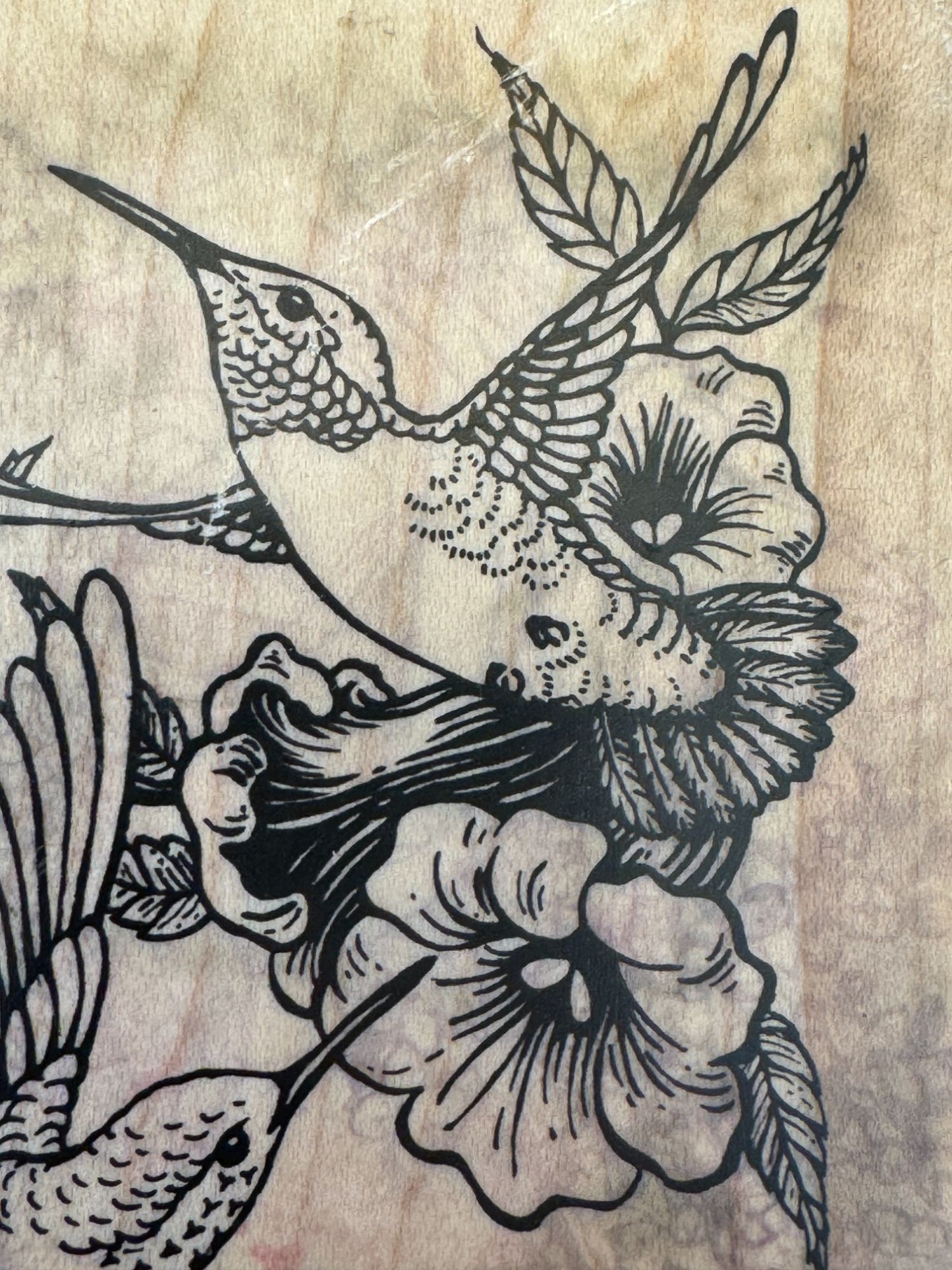 PSX Rubber Stamp Hummingbird Botanical Bird Broad-Tailed Spring Card Making Art