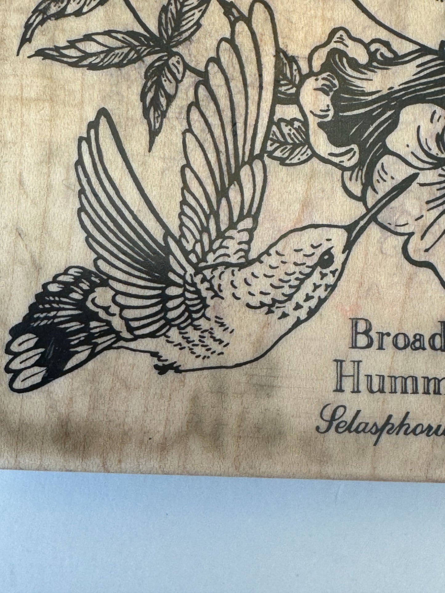 PSX Rubber Stamp Hummingbird Botanical Bird Broad-Tailed Spring Card Making Art