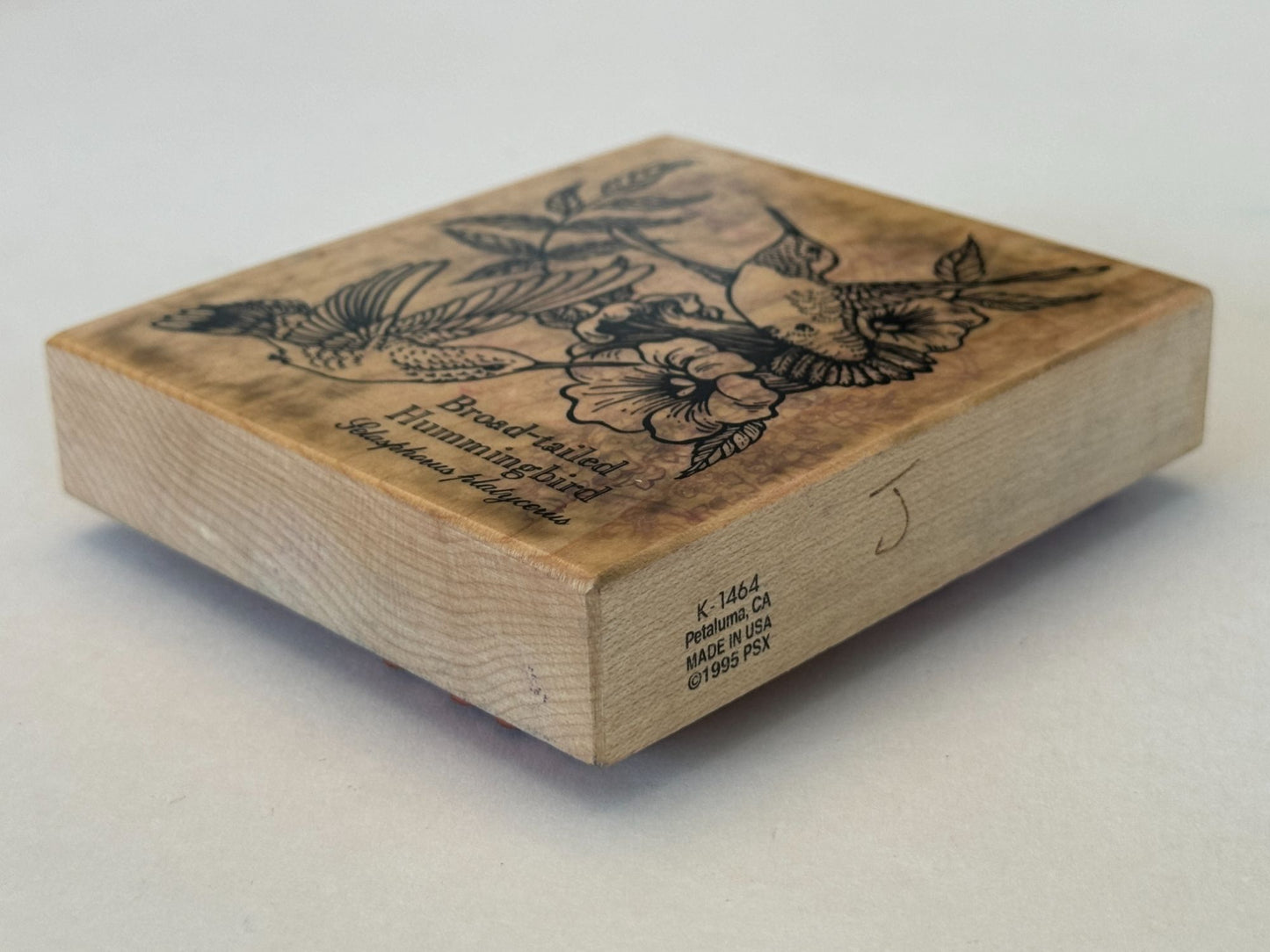 PSX Rubber Stamp Hummingbird Botanical Bird Broad-Tailed Spring Card Making Art