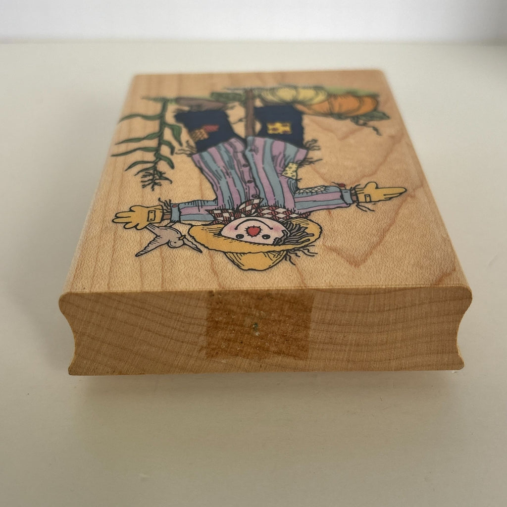 Hero Arts Rubber Stamp Pumpkin Patch Scarecrow Autumn Harvest Card Making Farm Wood Mounted