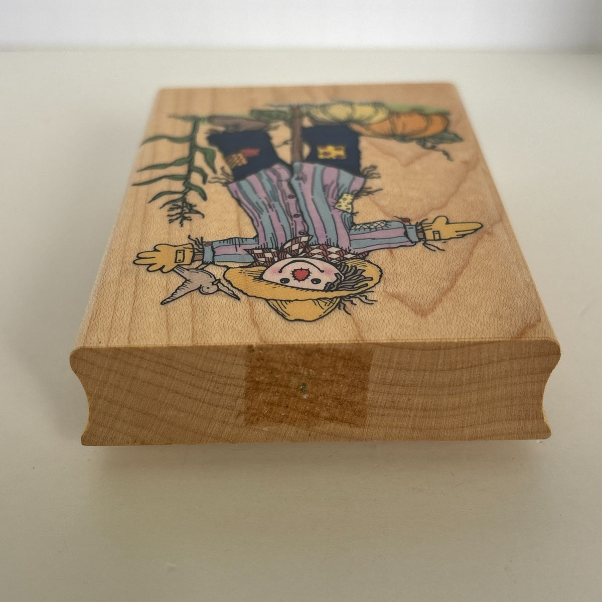 Hero Arts Rubber Stamp Pumpkin Patch Scarecrow Autumn Harvest Card Making Farm Wood Mounted