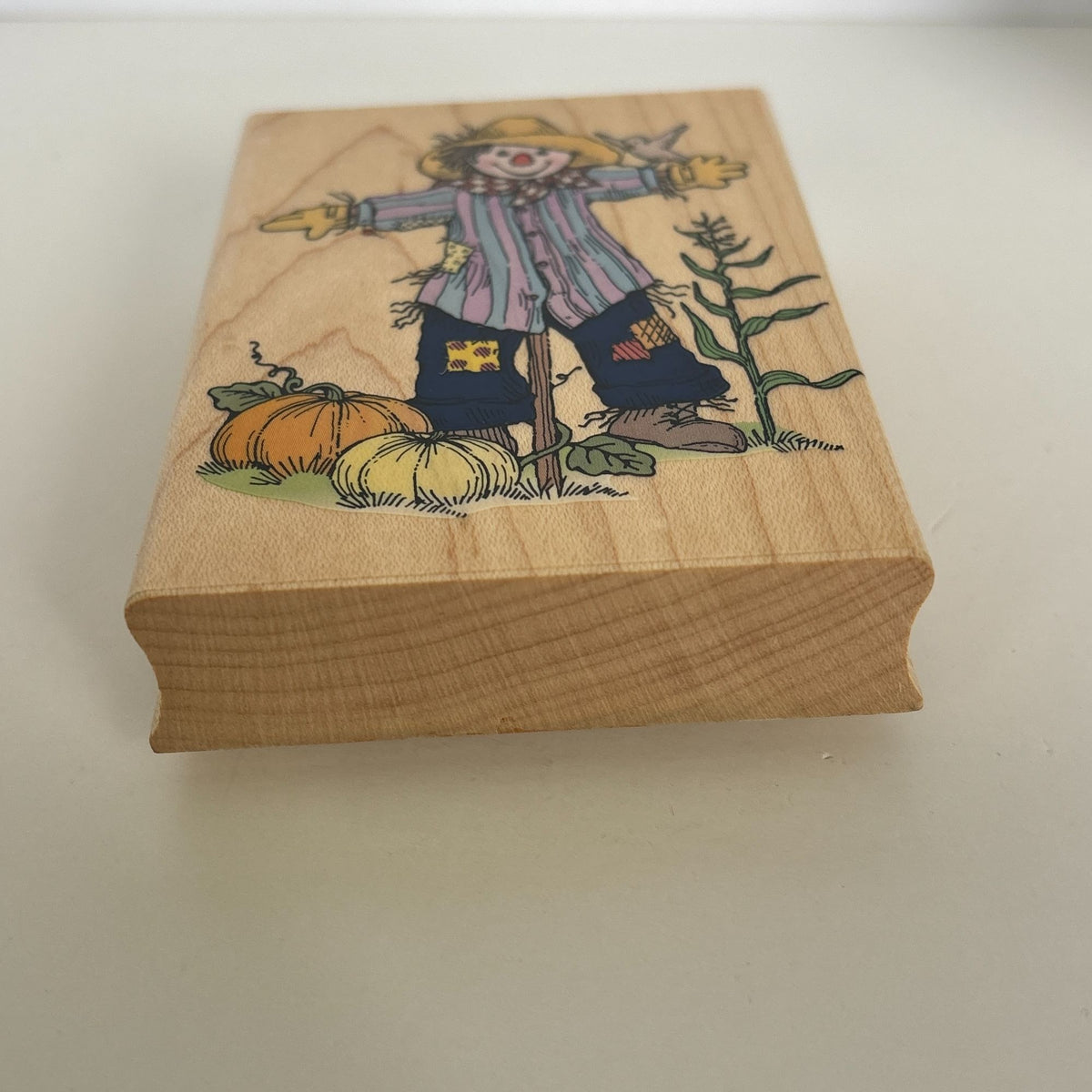Hero Arts Rubber Stamp Pumpkin Patch Scarecrow Autumn Harvest Card Making Farm Wood Mounted