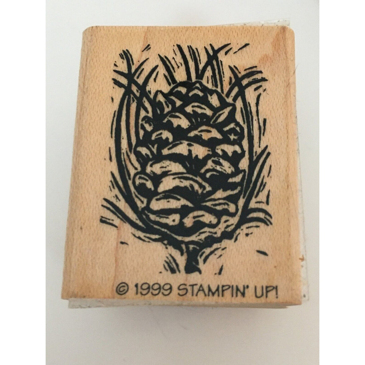 Stampin Up Rubber Stamp Feel The Warmth Christmas Winter Holiday Pine Cone Card