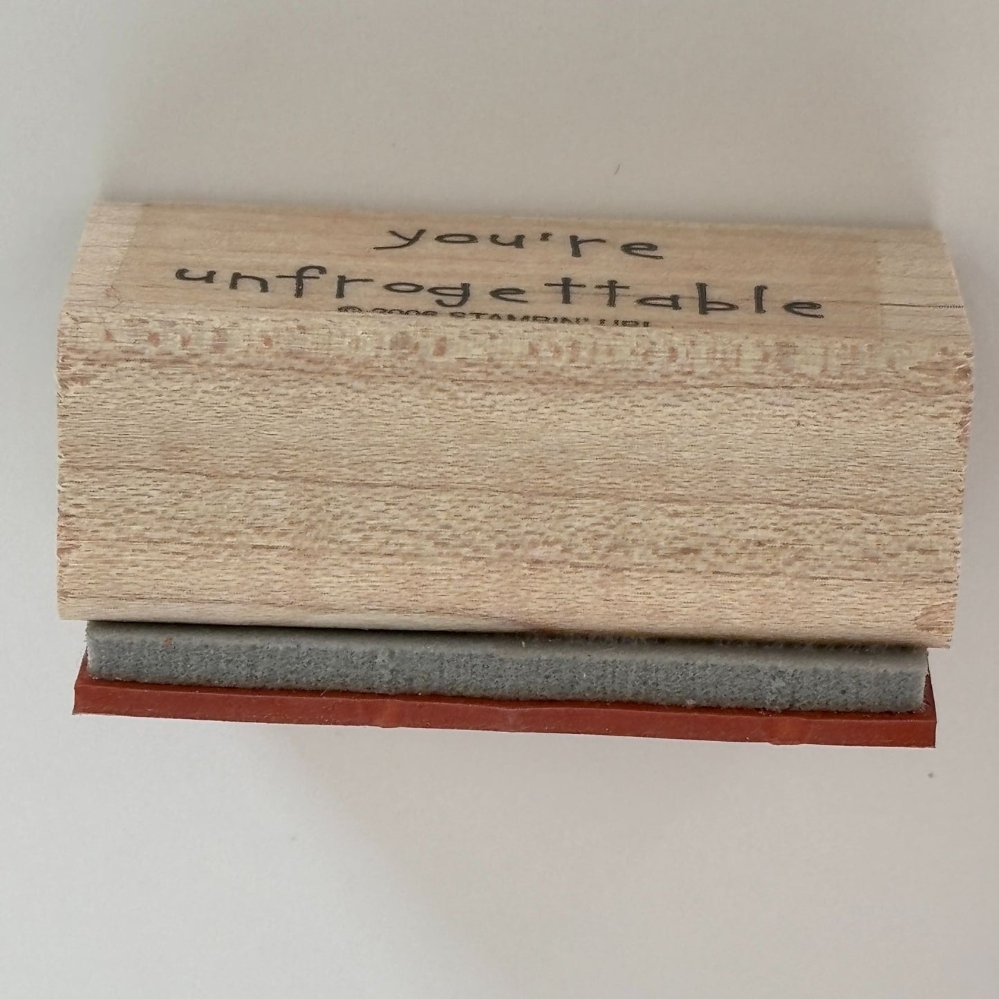 Stampin Up Rubber Stamp You are Unforgettable Unfrogettable Frog Pun Card Making