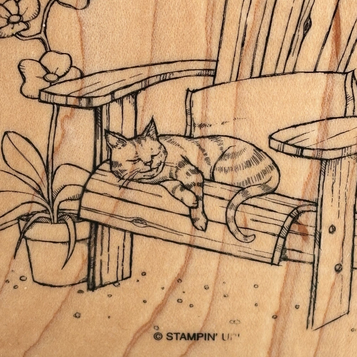 Stampin Up Rubber Stamp Sleepy Cat Nap Chair Flower Garden Animal Cardmaking Art Sleeping Pet
