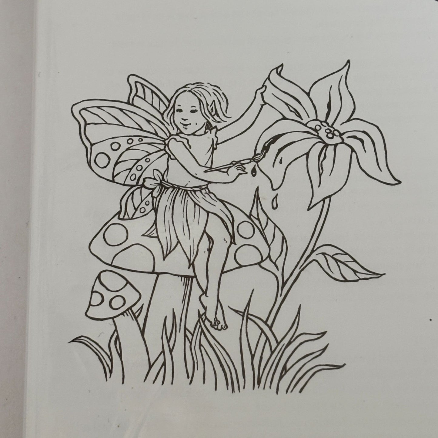 Stampin Up Rubber Stamps A Little Bit Of Magic Fairy Woodland Clear Mount Set 4