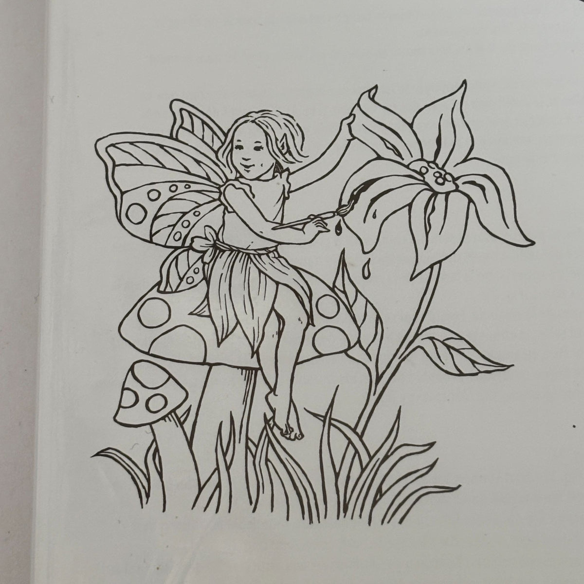 Stampin Up Rubber Stamps A Little Bit Of Magic Fairy Woodland Clear Mount Set 4