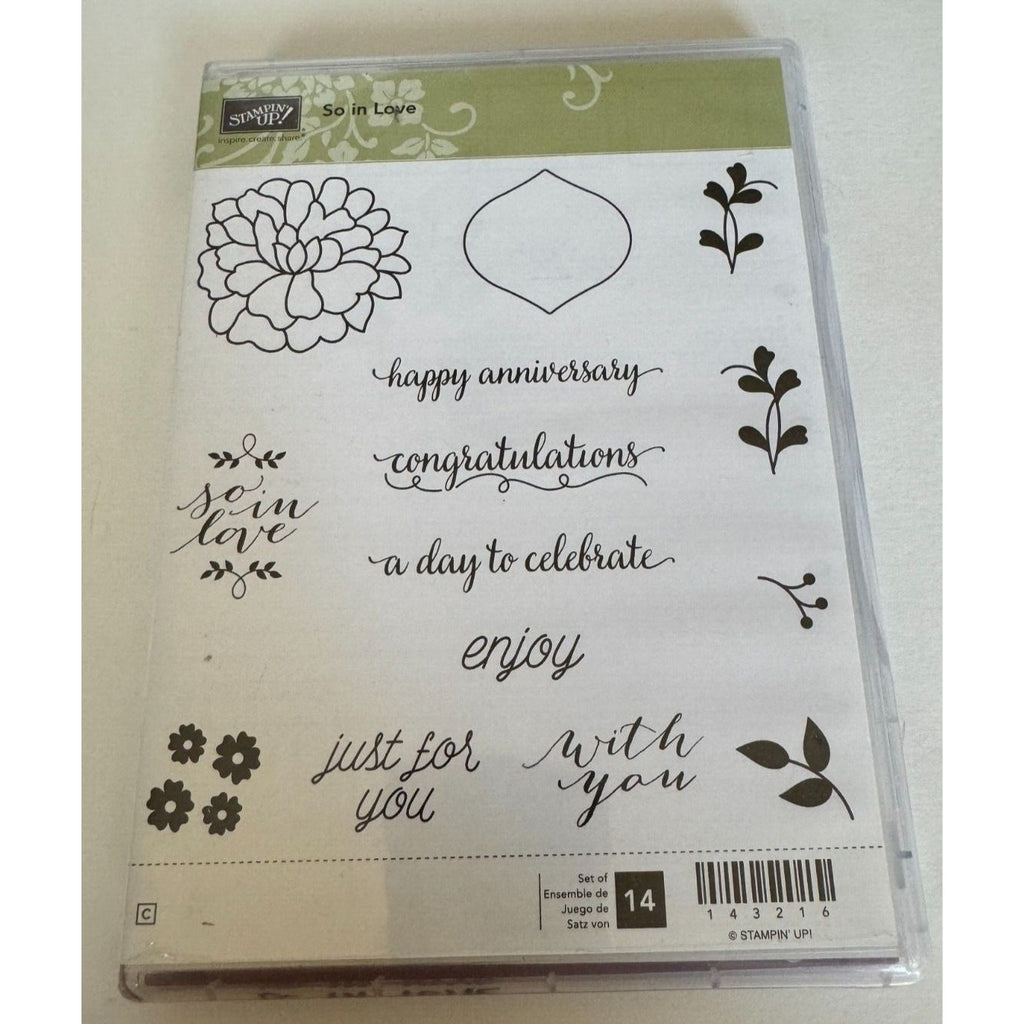 Stampin Up Cling Rubber Stamps So In Love So Detailed Thinlits Dies With