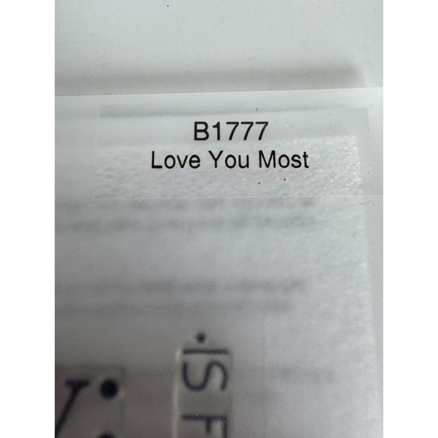 CTMH My Acrylix Acrylic Stamp Set Love You Most Family is Forever Chaos B1777