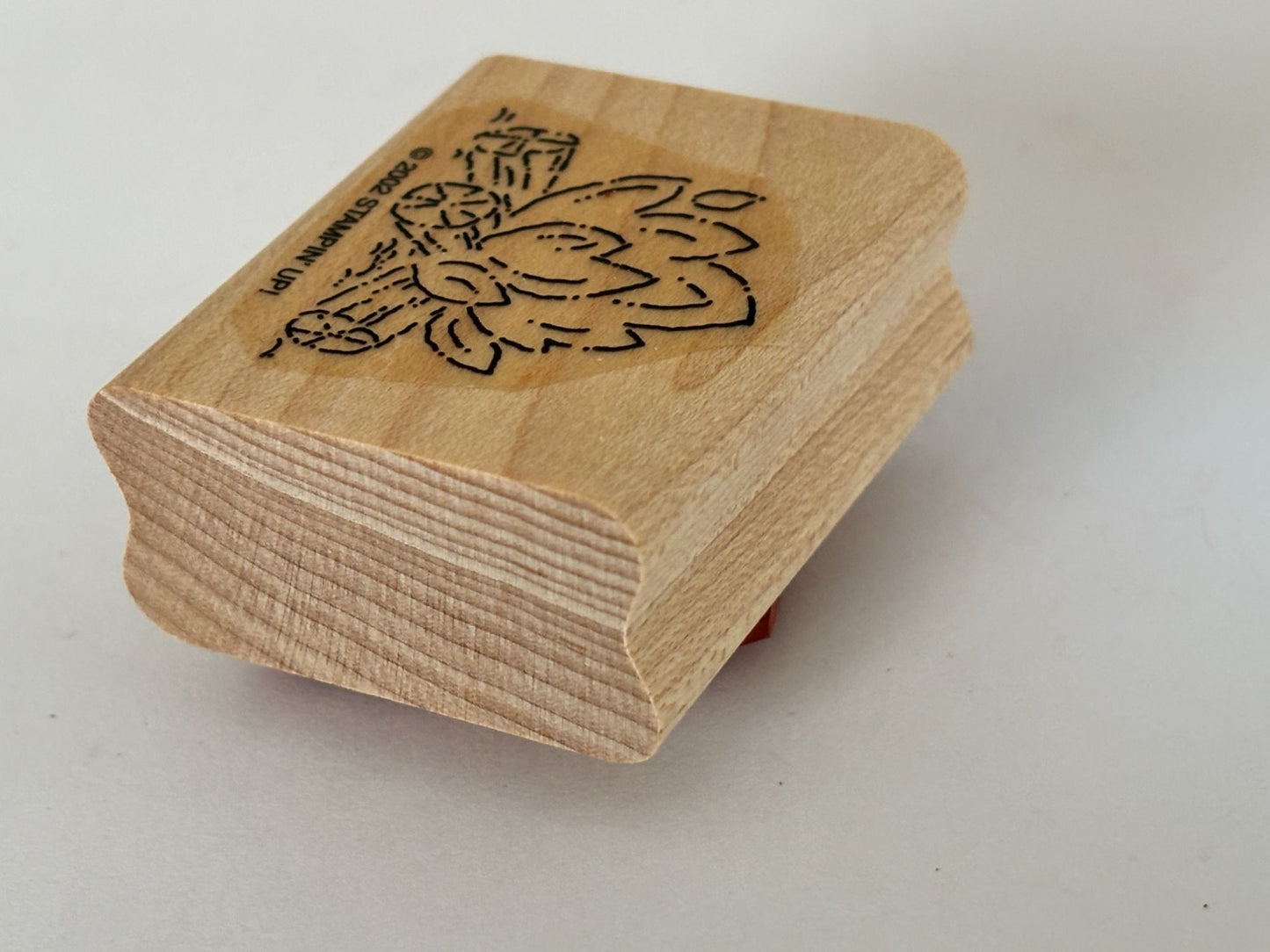 Stampin Up Rubber Stamp Campfire Camp Fire Logs Camping Summer Vacation Craft
