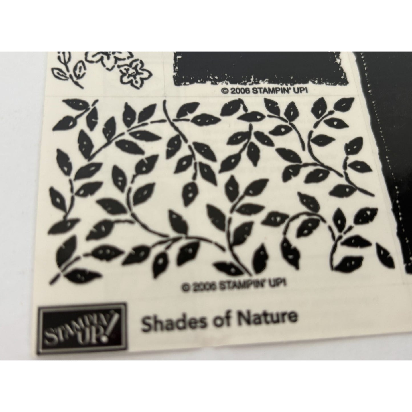 Stampin Up Rubber Stamps Shades of Nature Ivy Vines Floral Border Leaf Set of 9