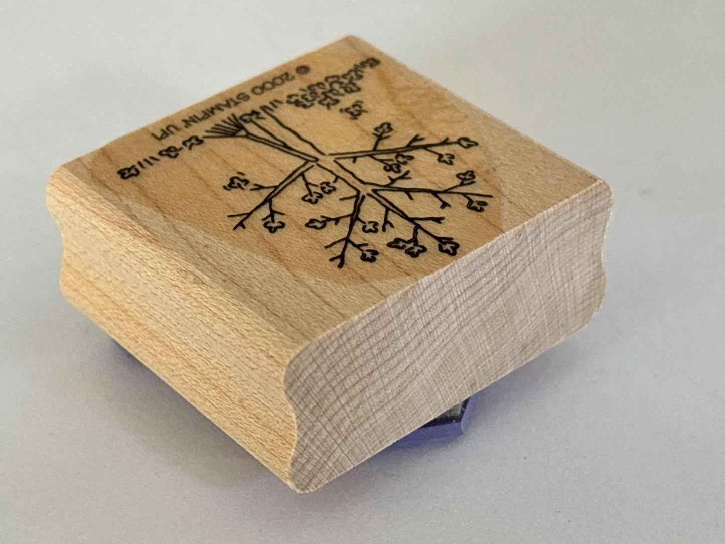 Stampin Up Rubber Stamp Fall Tree Falling Leaves Rake Autumn Season Card Making