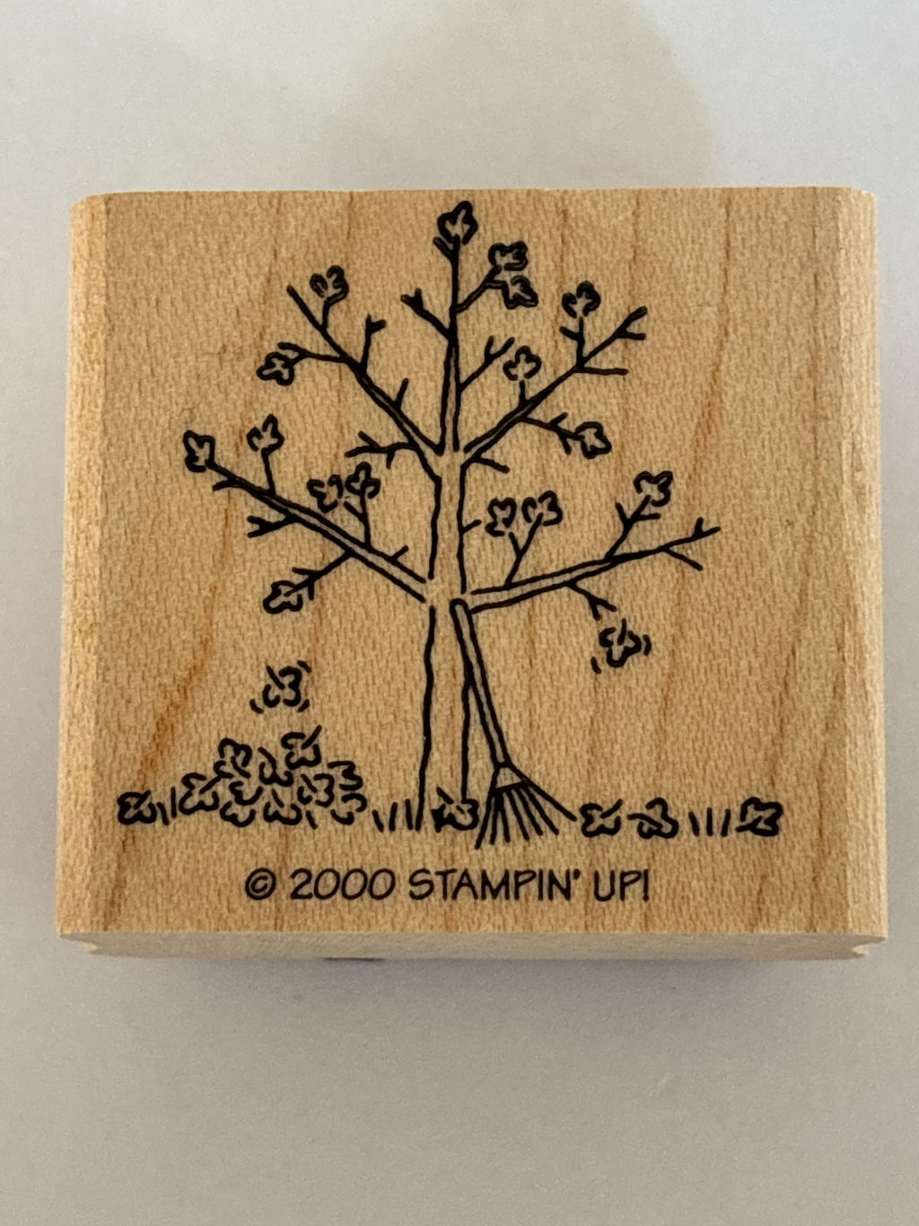 Stampin Up Rubber Stamp Fall Tree Falling Leaves Rake Autumn Season Card Making