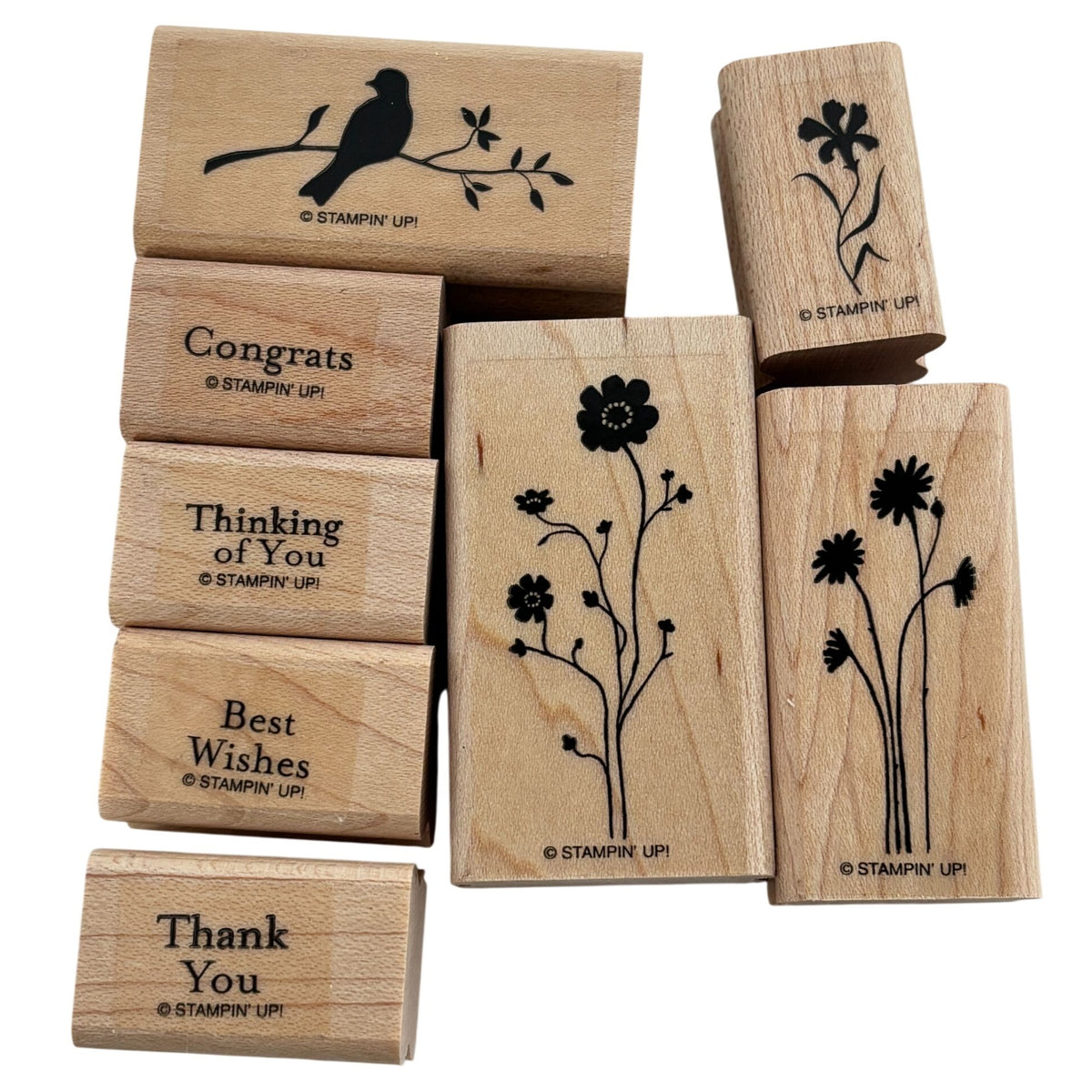Stampin Up Stamp Set Silhouette Sentiments Wood Floral Bird Cardmaking Thank You Best Wishes