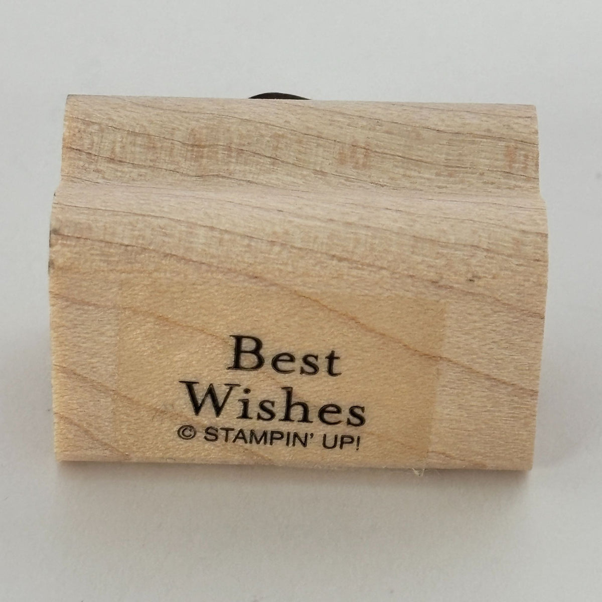 Stampin Up Stamp Set Silhouette Sentiments Wood Floral Bird Cardmaking Thank You Best Wishes