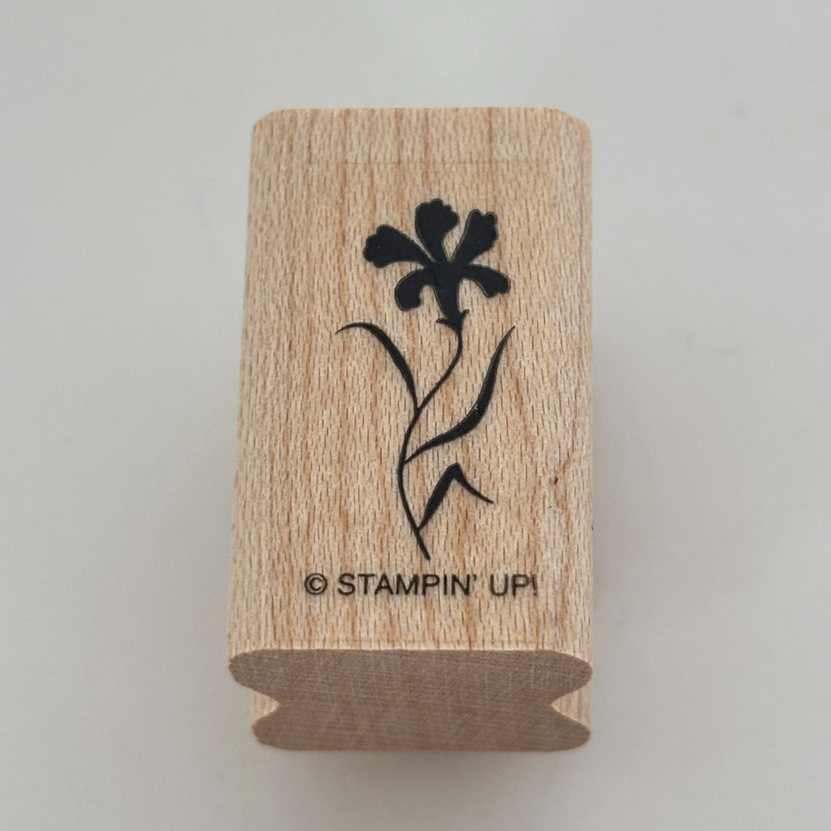 Stampin Up Stamp Set Silhouette Sentiments Wood Floral Bird Cardmaking Thank You Best Wishes