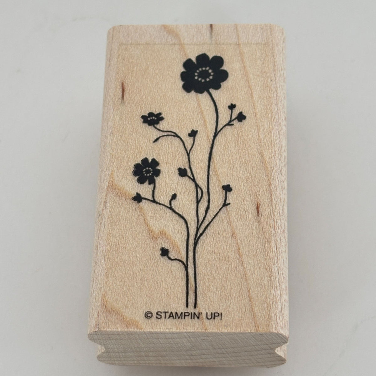 Stampin Up Stamp Set Silhouette Sentiments Wood Floral Bird Cardmaking Thank You Best Wishes