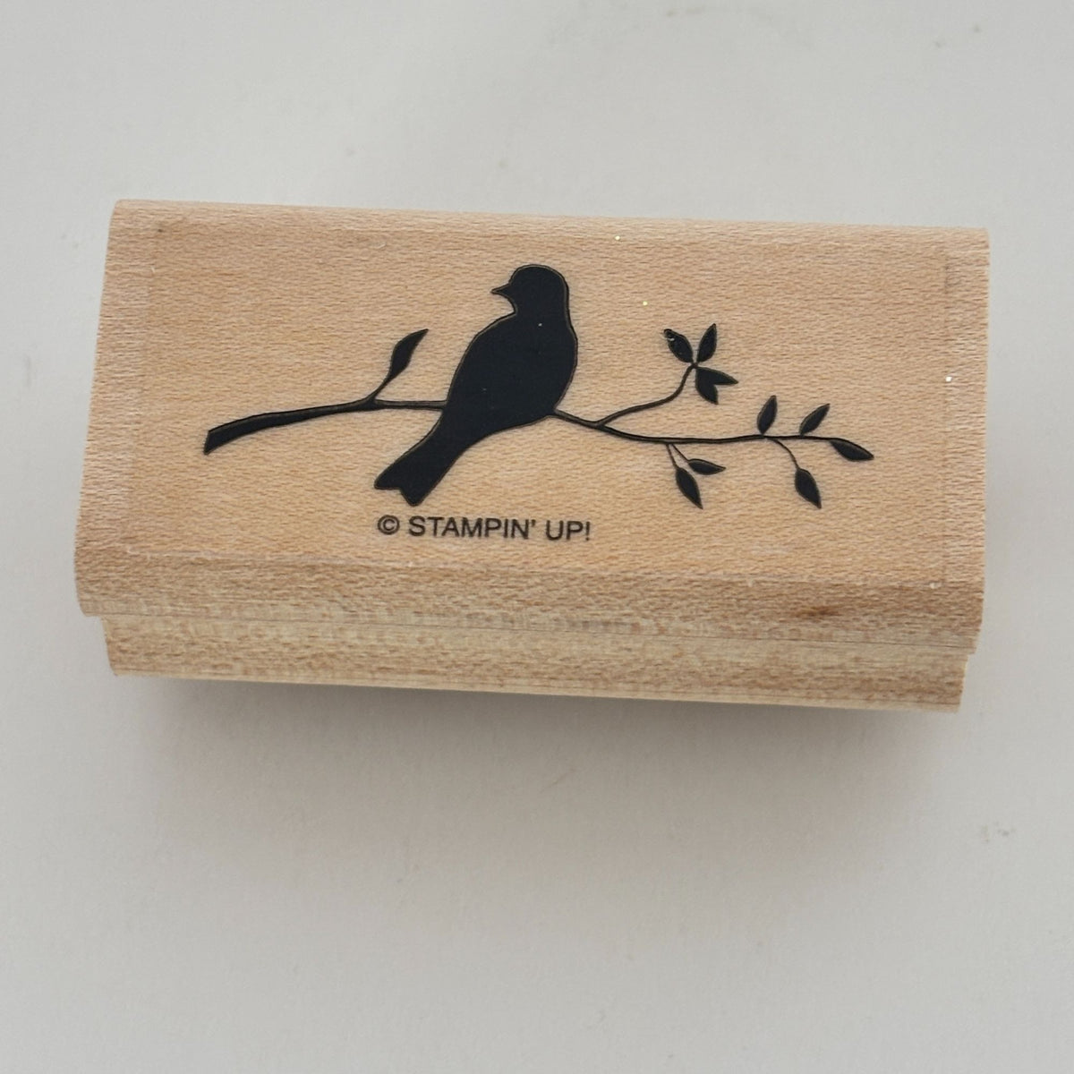 Stampin Up Stamp Set Silhouette Sentiments Wood Floral Bird Cardmaking Thank You Best Wishes