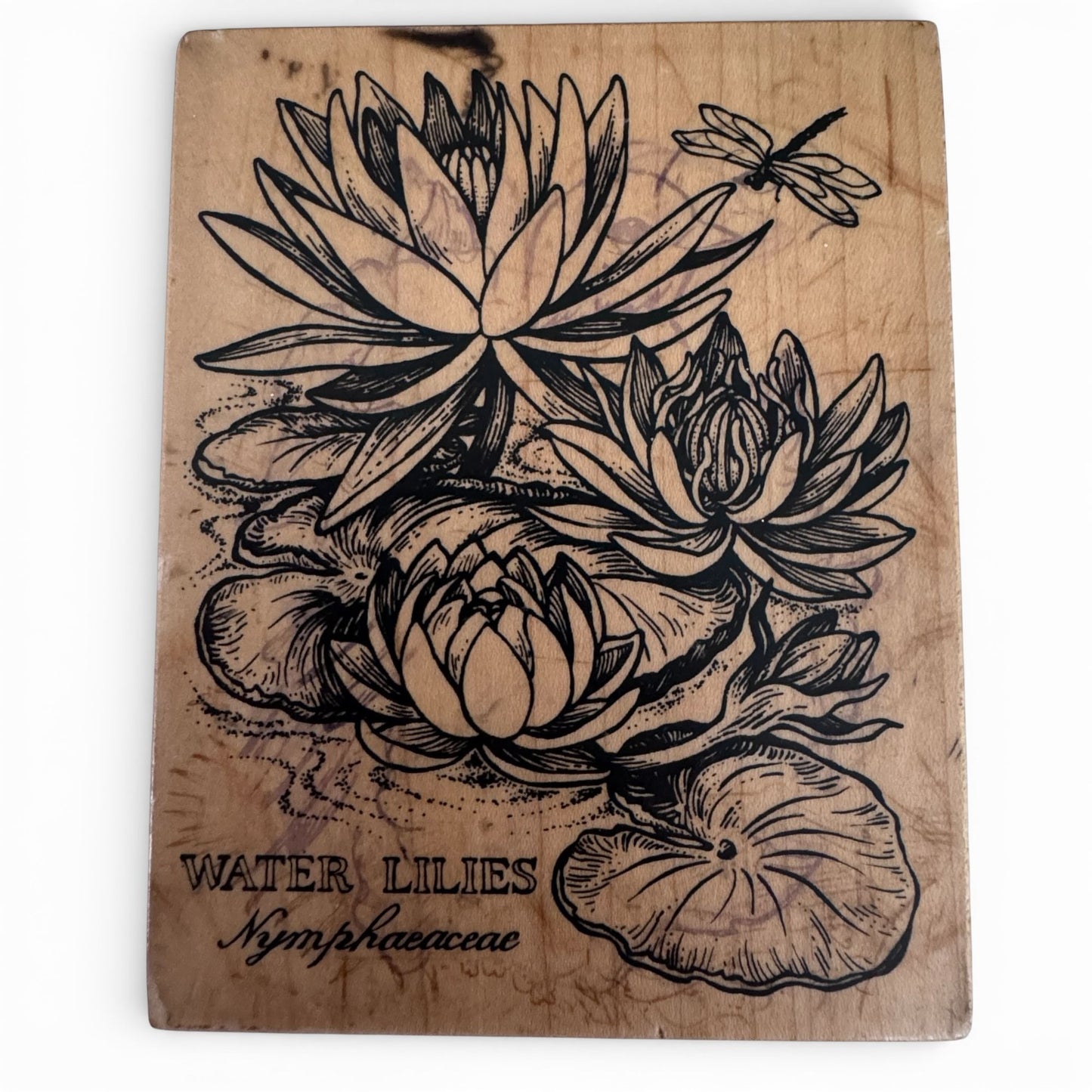 PSX Rubber Stamp Water Lilies Botanical Flower Dragonfly Nature Cardmaking Wood Mounted