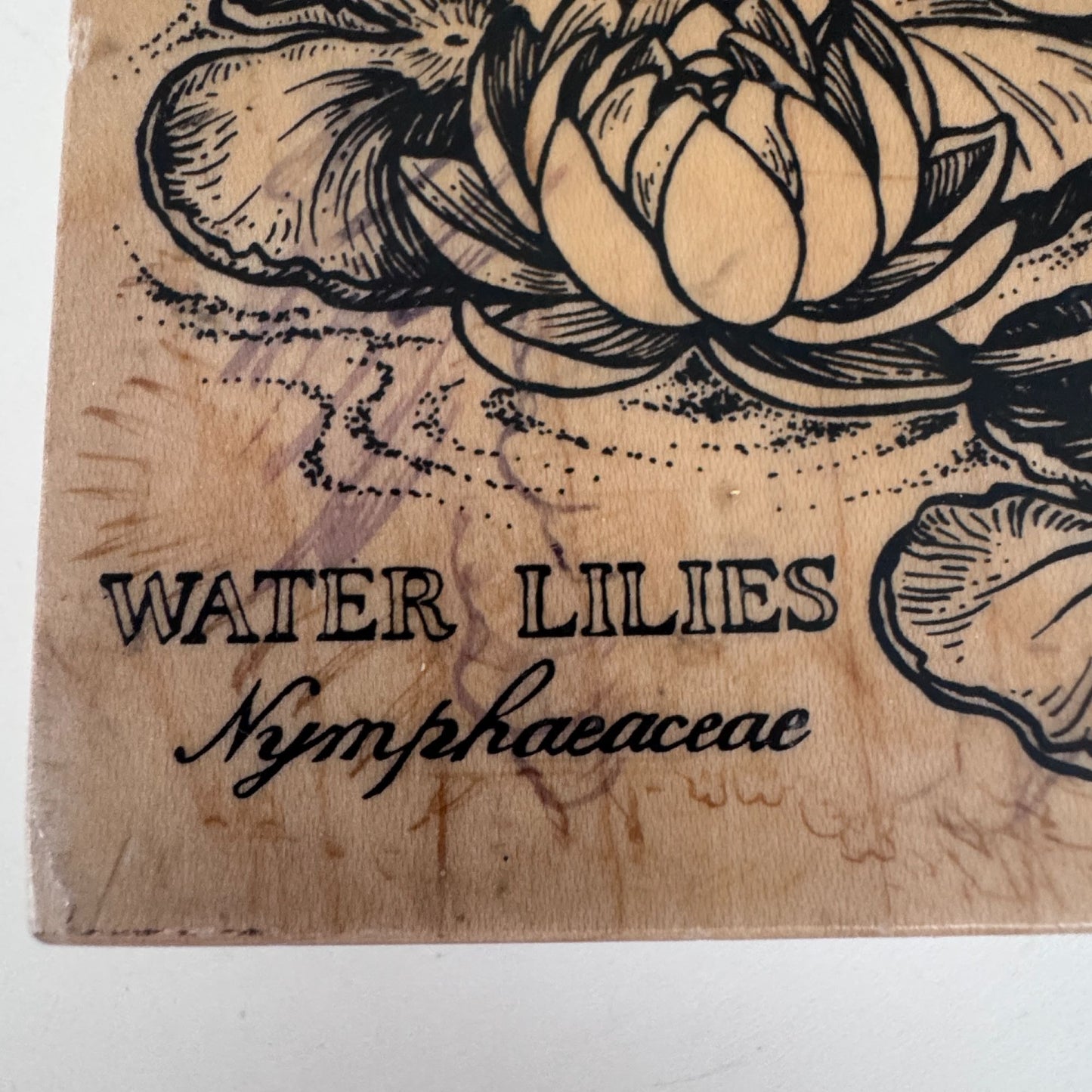 PSX Rubber Stamp Water Lilies Botanical Flower Dragonfly Nature Cardmaking Wood Mounted