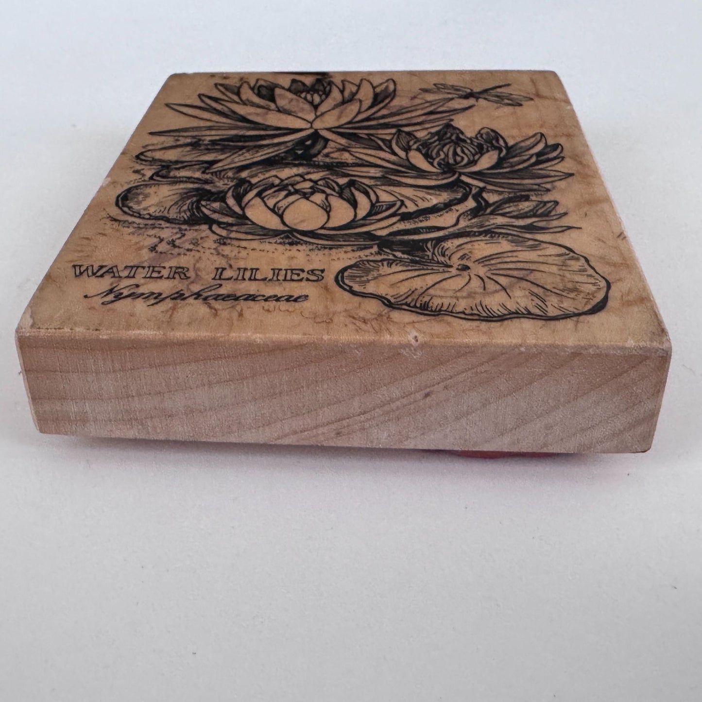 PSX Rubber Stamp Water Lilies Botanical Flower Dragonfly Nature Cardmaking Wood Mounted