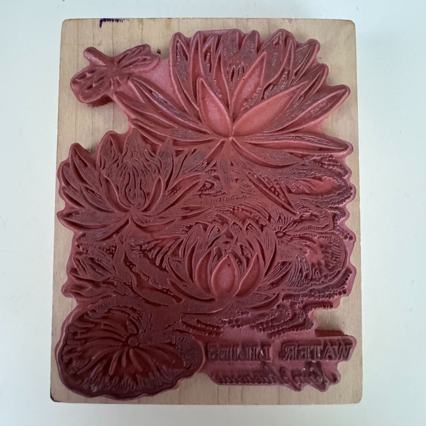PSX Rubber Stamp Water Lilies Botanical Flower Dragonfly Nature Cardmaking Wood Mounted