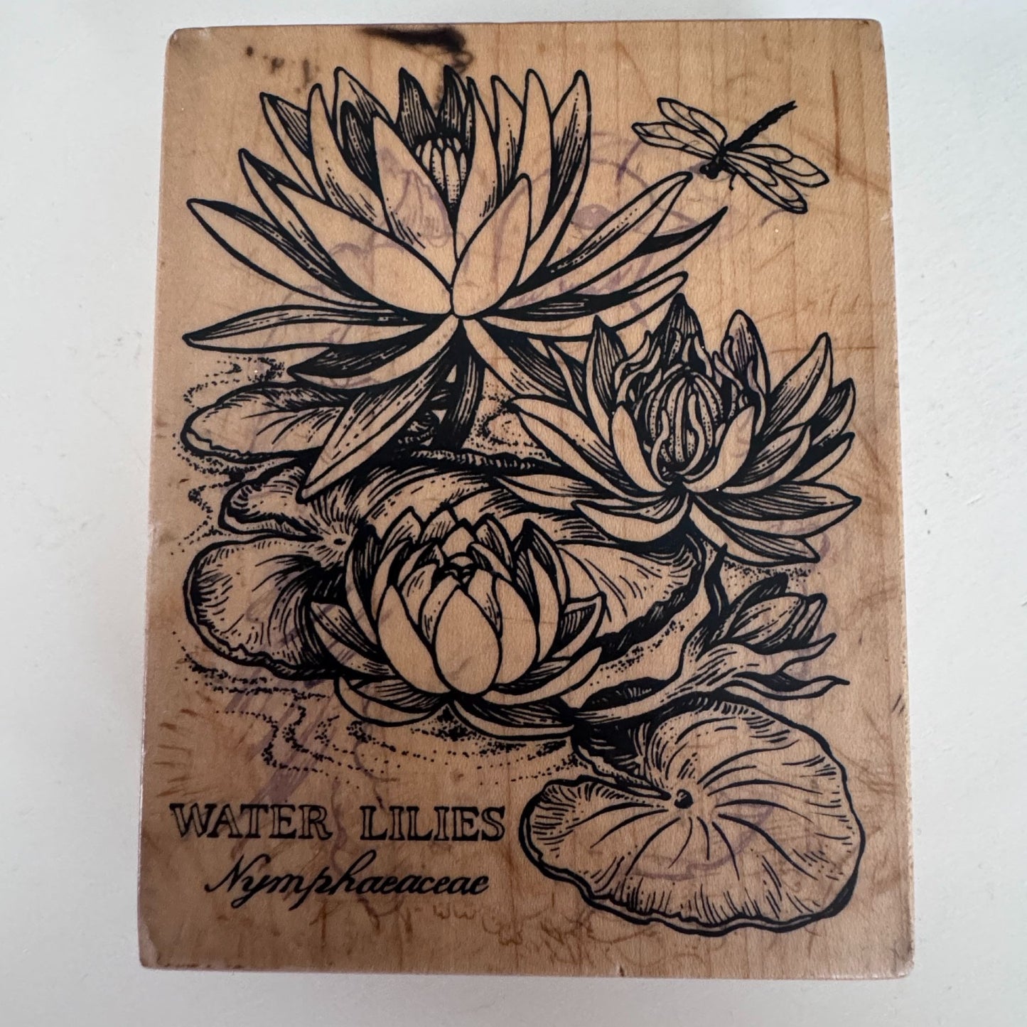PSX Rubber Stamp Water Lilies Botanical Flower Dragonfly Nature Cardmaking Wood Mounted