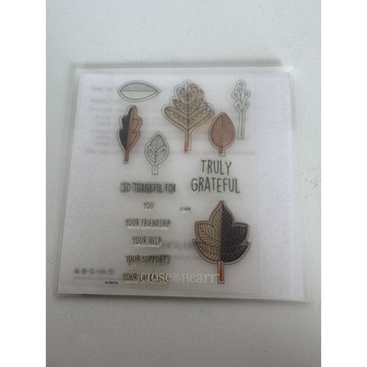 CTMH My Acrylix Acrylic Stamp and Dies Set Falling for You Thanksgiving C1686