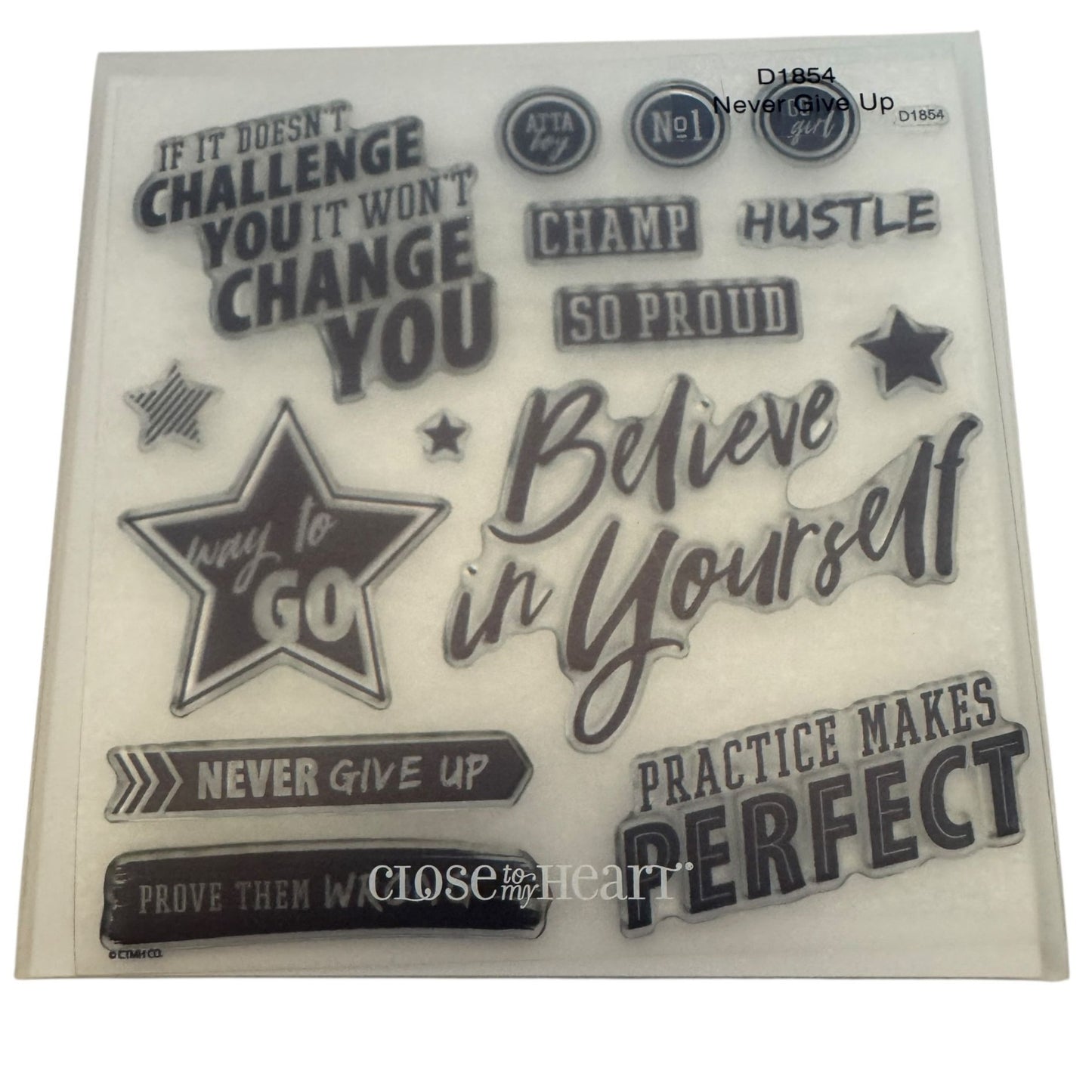 CTMH My Acrylix Acrylic Stamp Set D1854 Never Give Up Prove Them Wrong Words