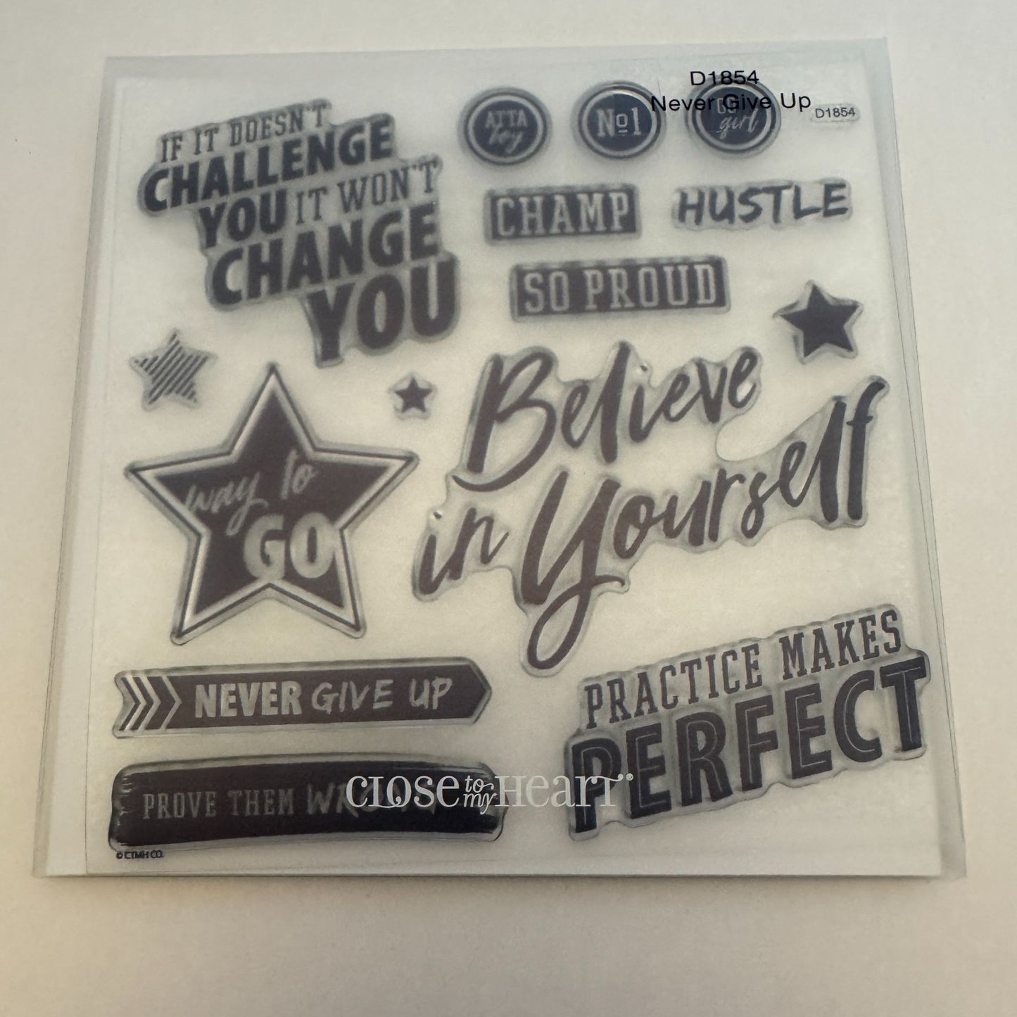 CTMH My Acrylix Acrylic Stamp Set D1854 Never Give Up Prove Them Wrong Words