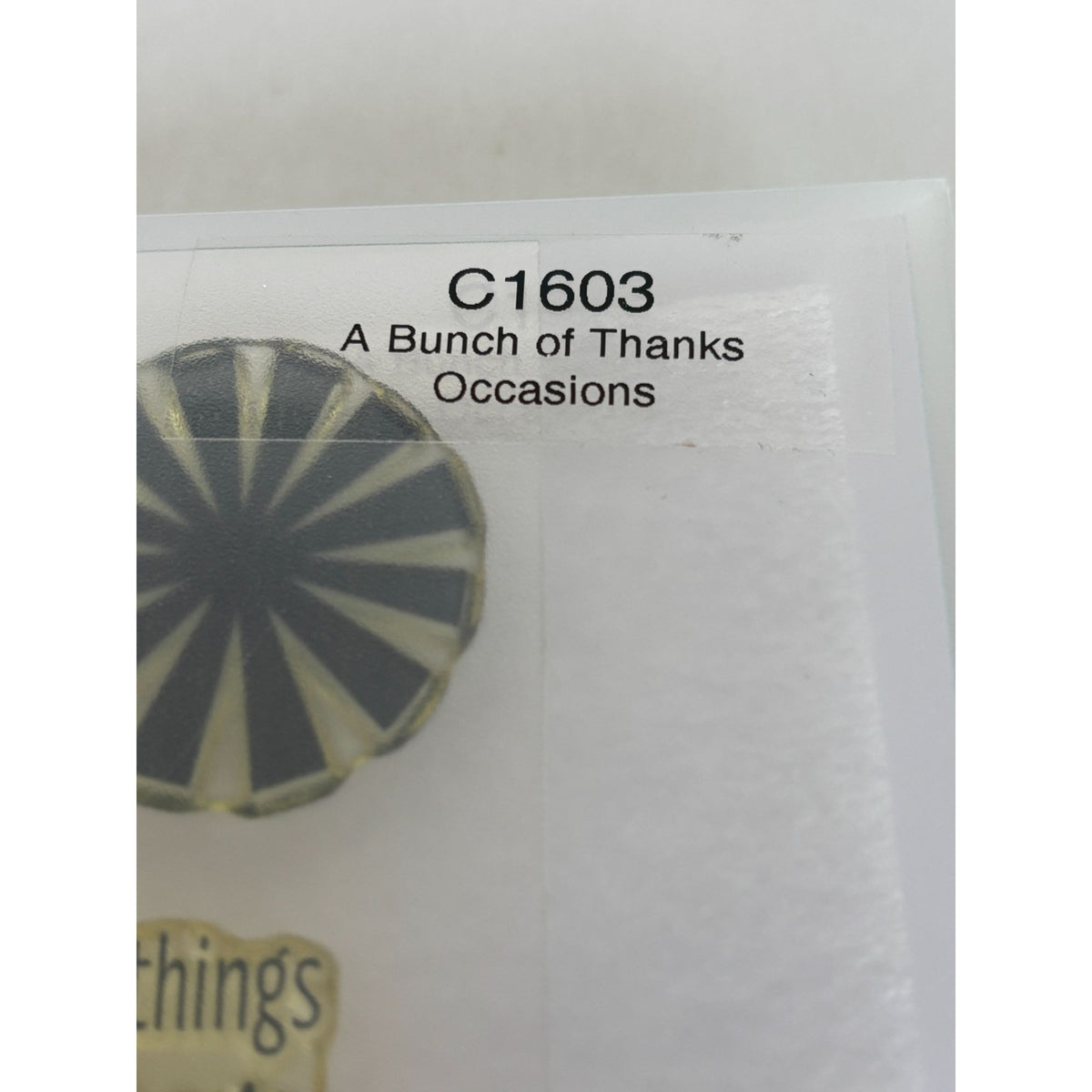 CTMH Acrylic Stamp Set A Bunch of Thanks Flower Vase Best Buds Pun My Acrylix