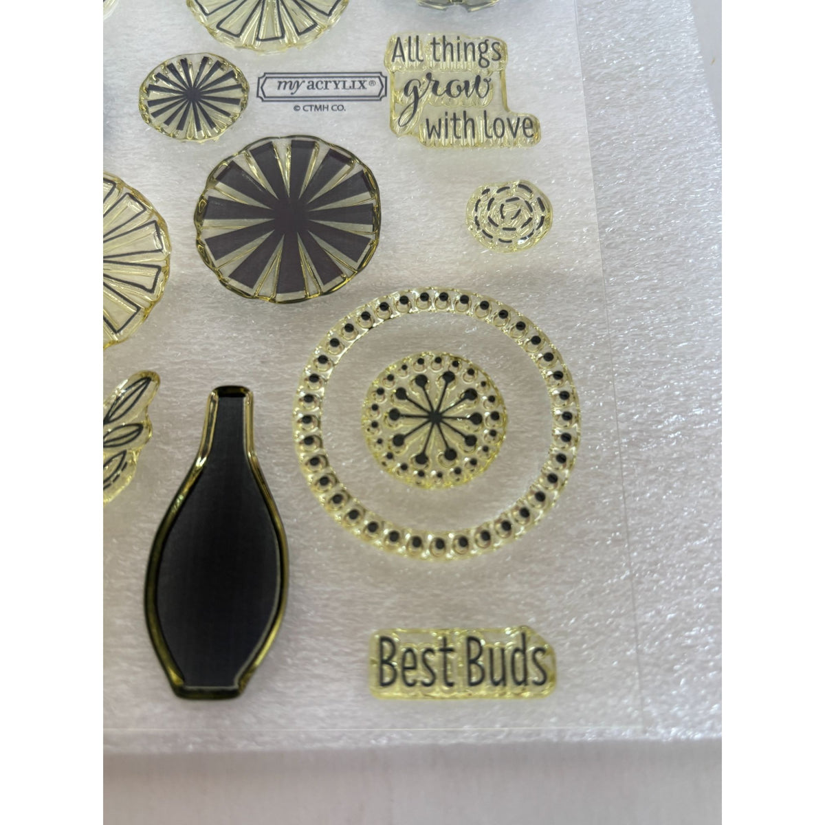 CTMH Acrylic Stamp Set A Bunch of Thanks Flower Vase Best Buds Pun My Acrylix