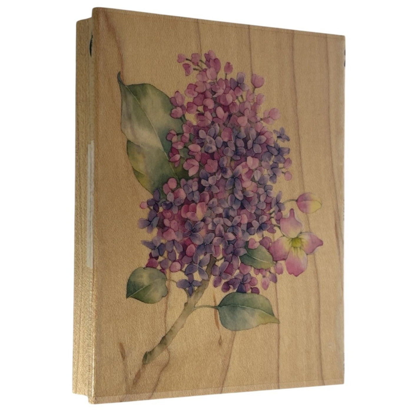 All Night Media Rubber Stamp Lilac Flower Friendship Card Making Feminine Garden