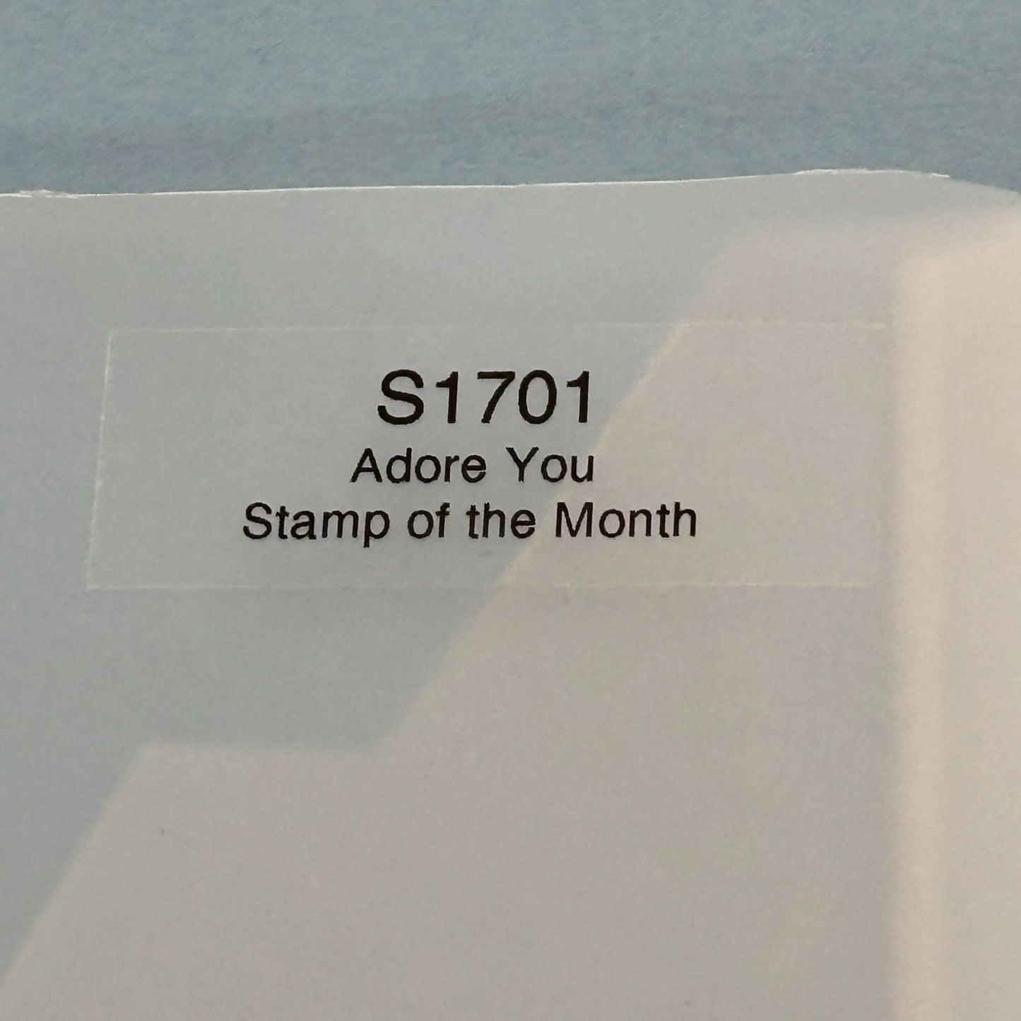 CTMH Acrylic Stamps My Acrylix Adore You Heart Flowers Romantic Cardmaking S1701 Floral Corner