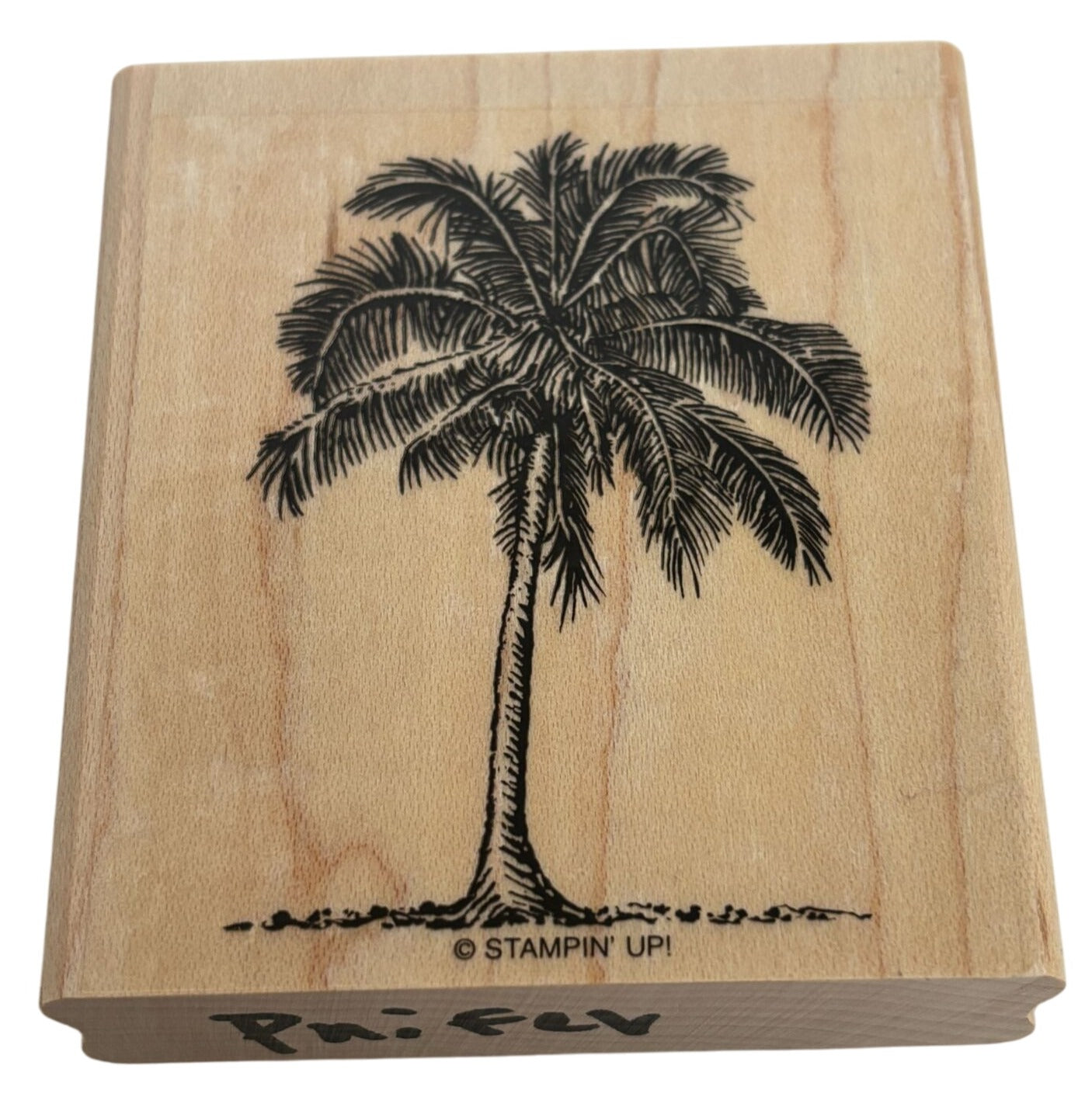 Stampin Up Rubber Stamp Palm Tree Tropical Beach Vacation Card Making Craft Wood