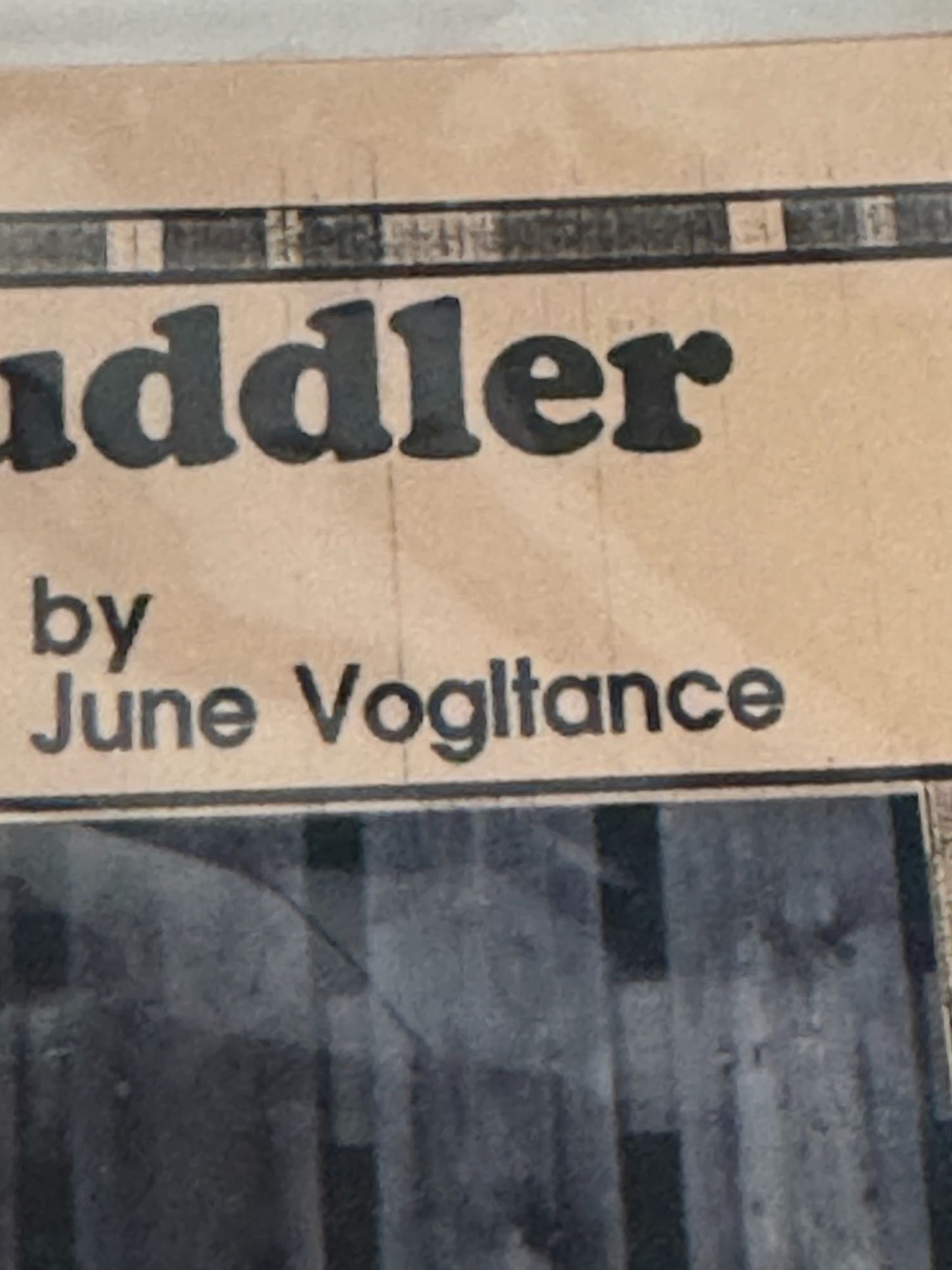 Vogies Quilt Pattern Chenille Cuddler June Voglance Quilting Cozy Winter Flannel