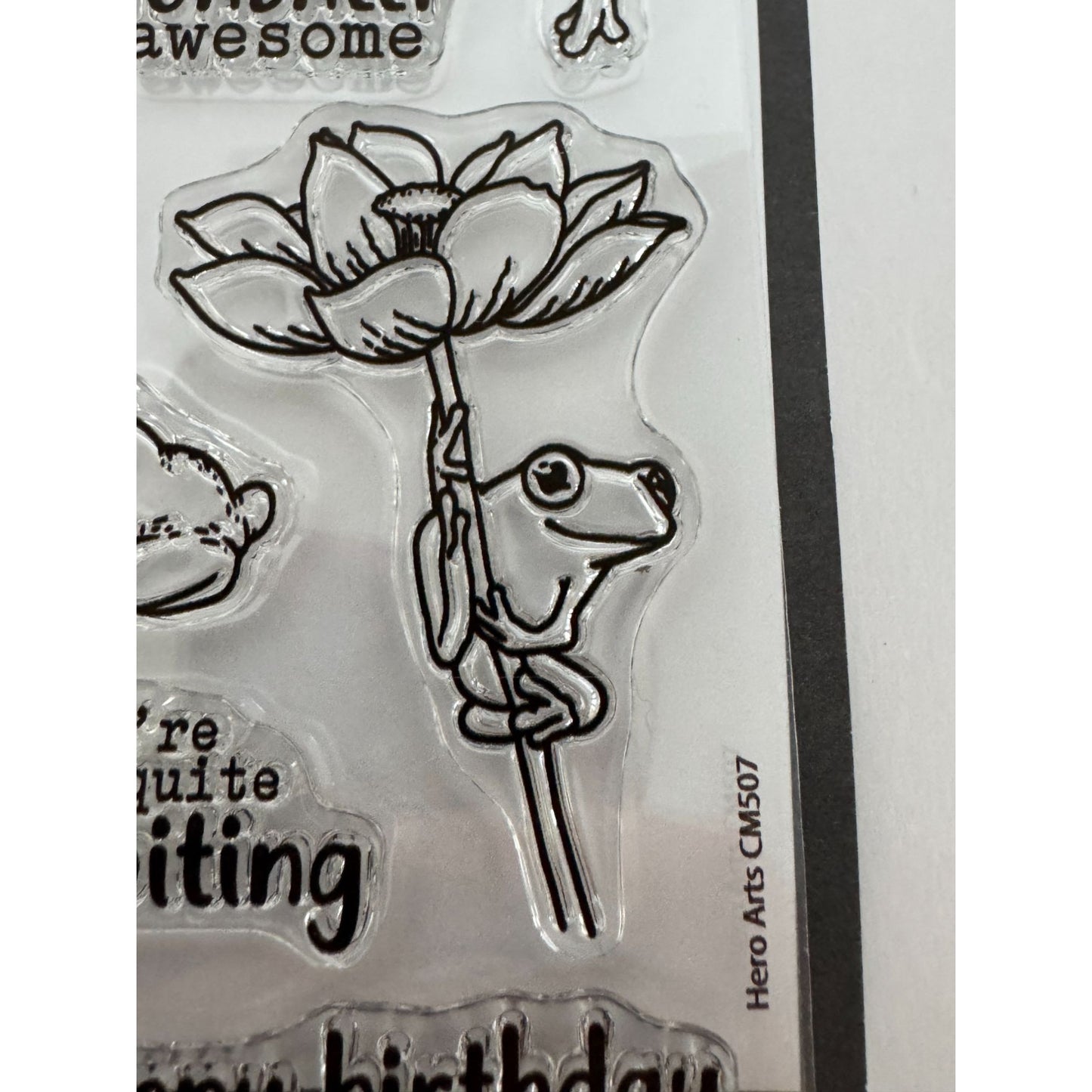 Hero Arts Clear Stamp Set Hoppy Day Frog Funny Pun Toadally Birthday Card Making