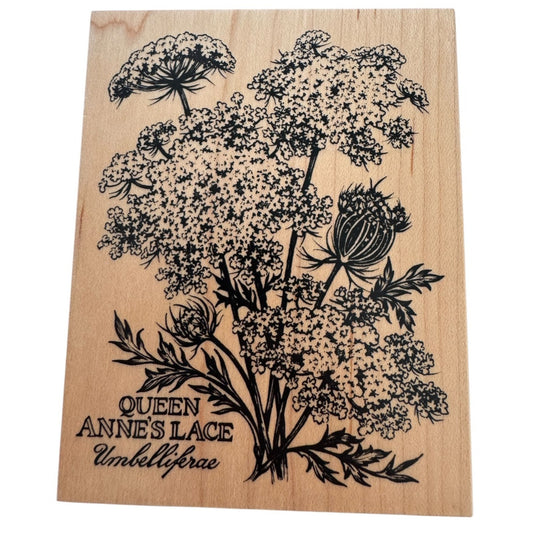 PSX Botanical Flowers Rubber Stamp Queen Annes Lace Garden Nature Craft K-2048