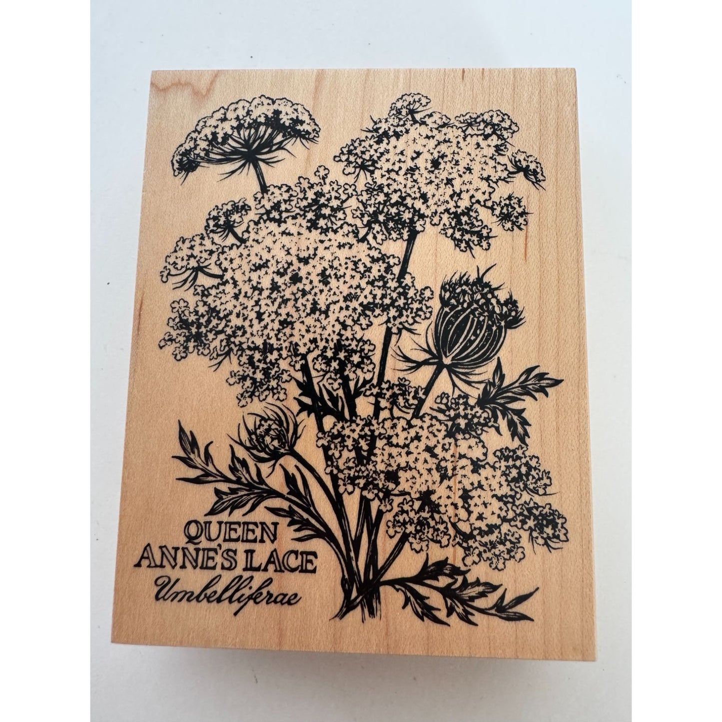 PSX Botanical Flowers Rubber Stamp Queen Annes Lace Garden Nature Craft K-2048