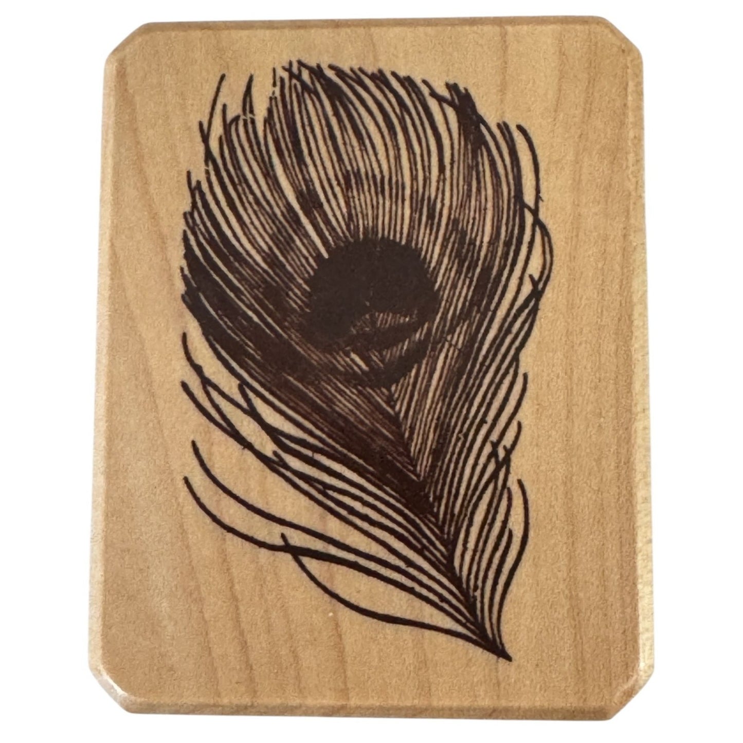 Inkadinkado Rubber Stamp Peacock Feather Wildlife Wonder Cardmaking Craft Wooden