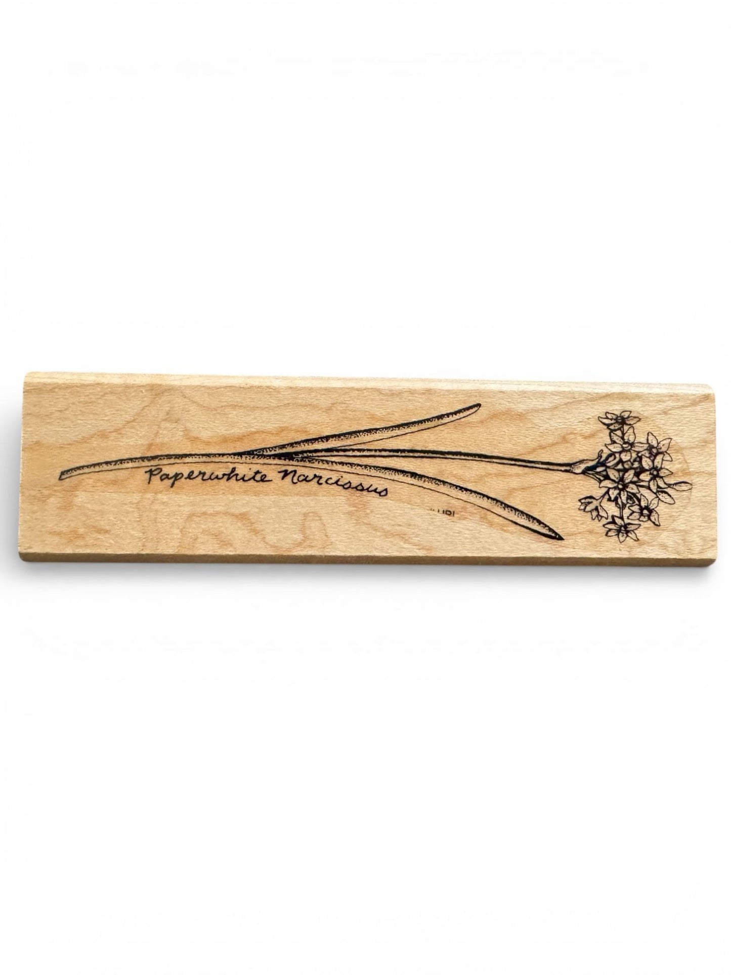 Stampin Up Rubber Stamp Paperwhite Narcissus Flower Cardmaking Botanical Craft