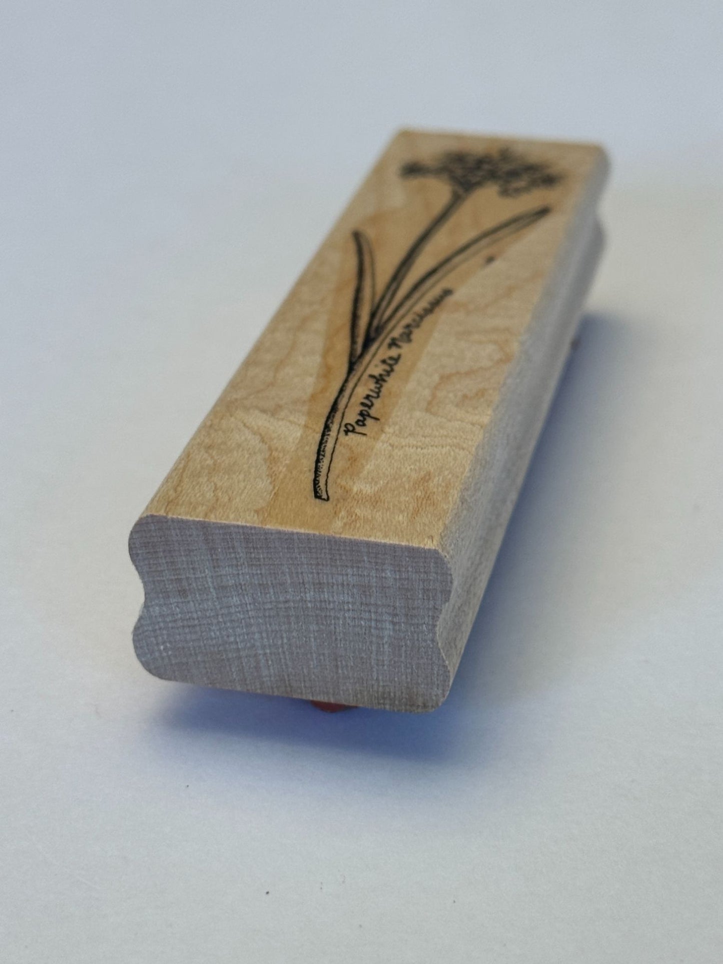 Stampin Up Rubber Stamp Paperwhite Narcissus Flower Cardmaking Botanical Craft
