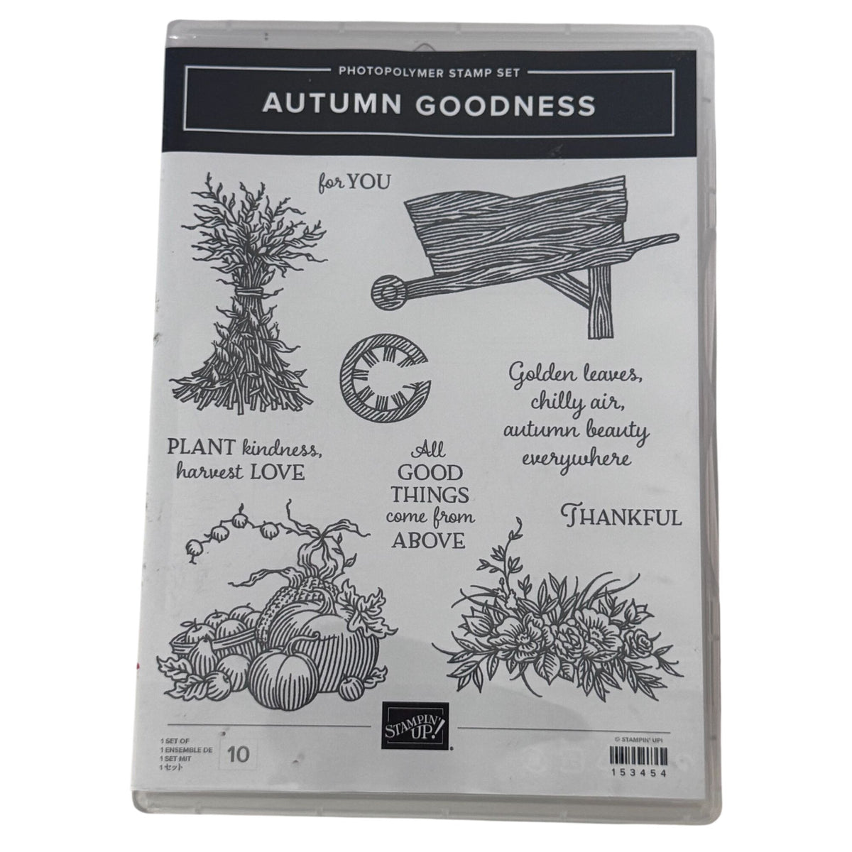 Stampin Up Photopolymer Stamp Set Autumn Goodness with Dies Thanksgiving Harvest Wheelbarrow Cardmaking