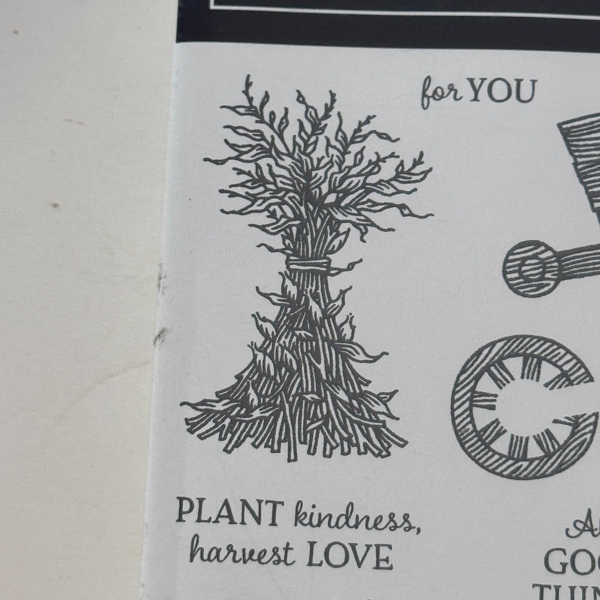 Stampin Up Photopolymer Stamp Set Autumn Goodness with Dies Thanksgiving Harvest Wheelbarrow Cardmaking