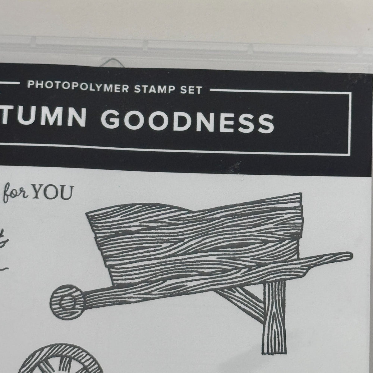 Stampin Up Photopolymer Stamp Set Autumn Goodness with Dies Thanksgiving Harvest Wheelbarrow Cardmaking
