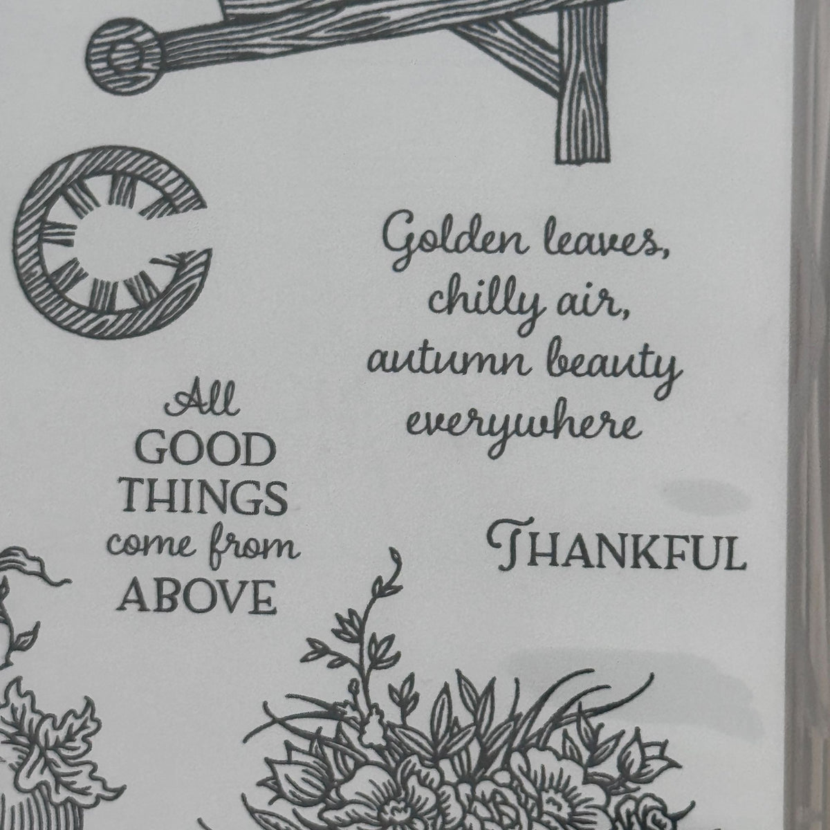 Stampin Up Photopolymer Stamp Set Autumn Goodness with Dies Thanksgiving Harvest Wheelbarrow Cardmaking