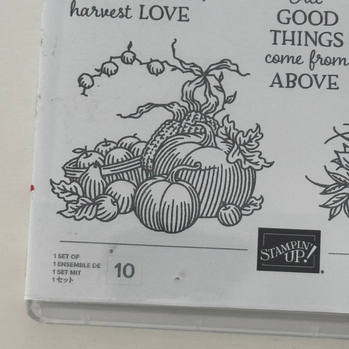 Stampin Up Photopolymer Stamp Set Autumn Goodness with Dies Thanksgiving Harvest Wheelbarrow Cardmaking