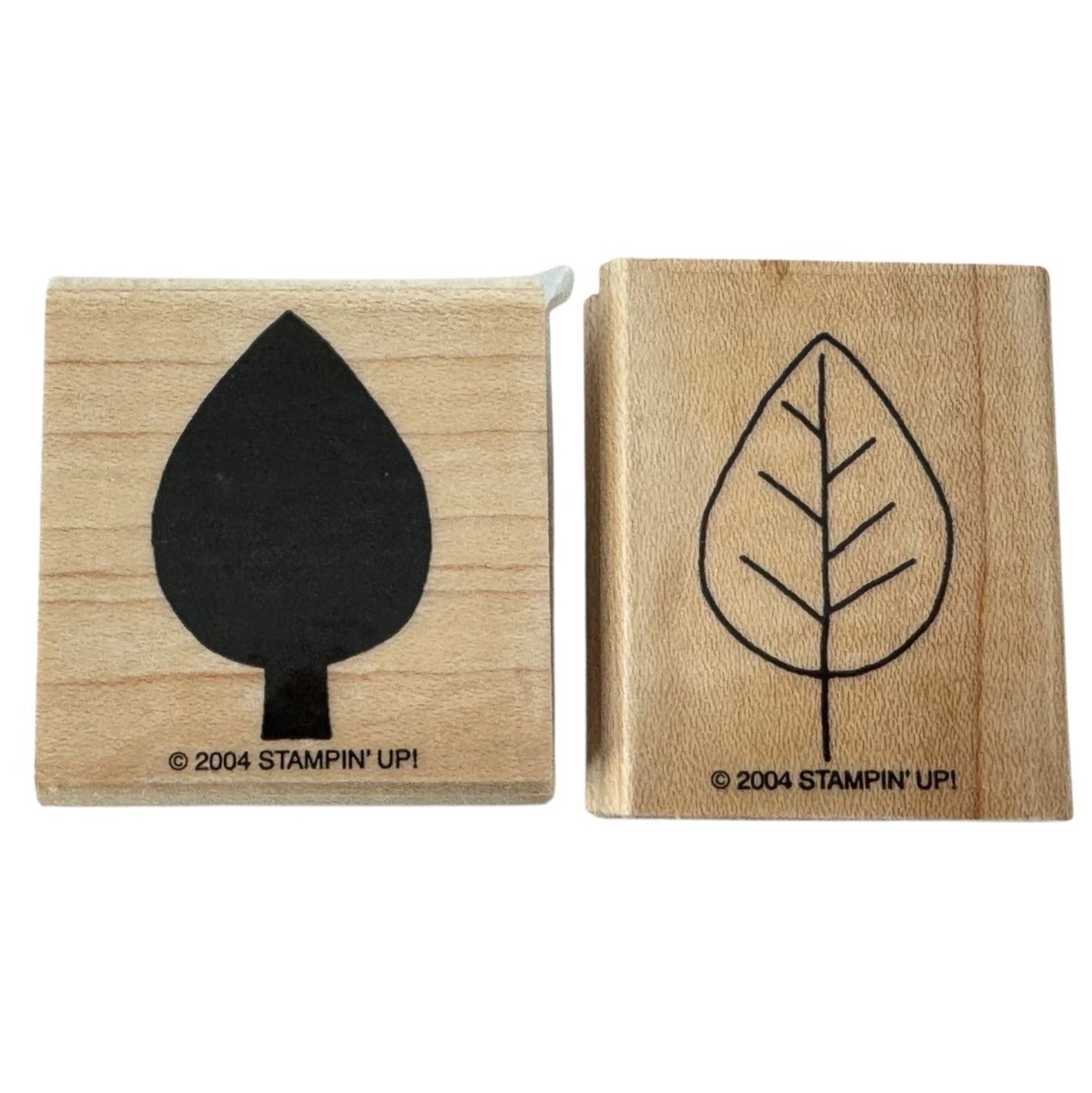 Stampin Up Rubber Stamps Elm Leaves Fall Leaf Two Step Shapes Shadows Card Craft